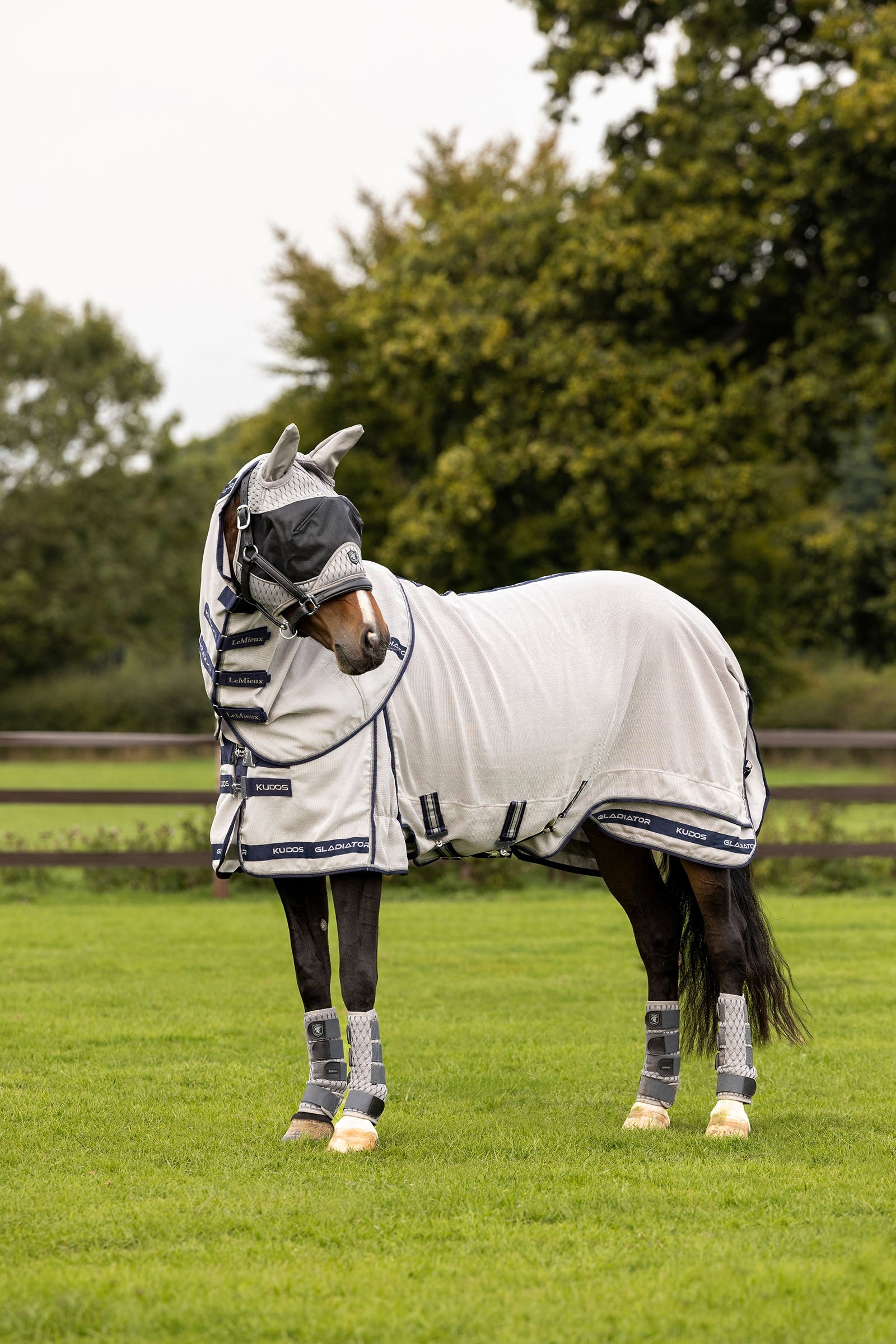 LeMieux Kudos Gladiator derka przeciwko owadom Derki