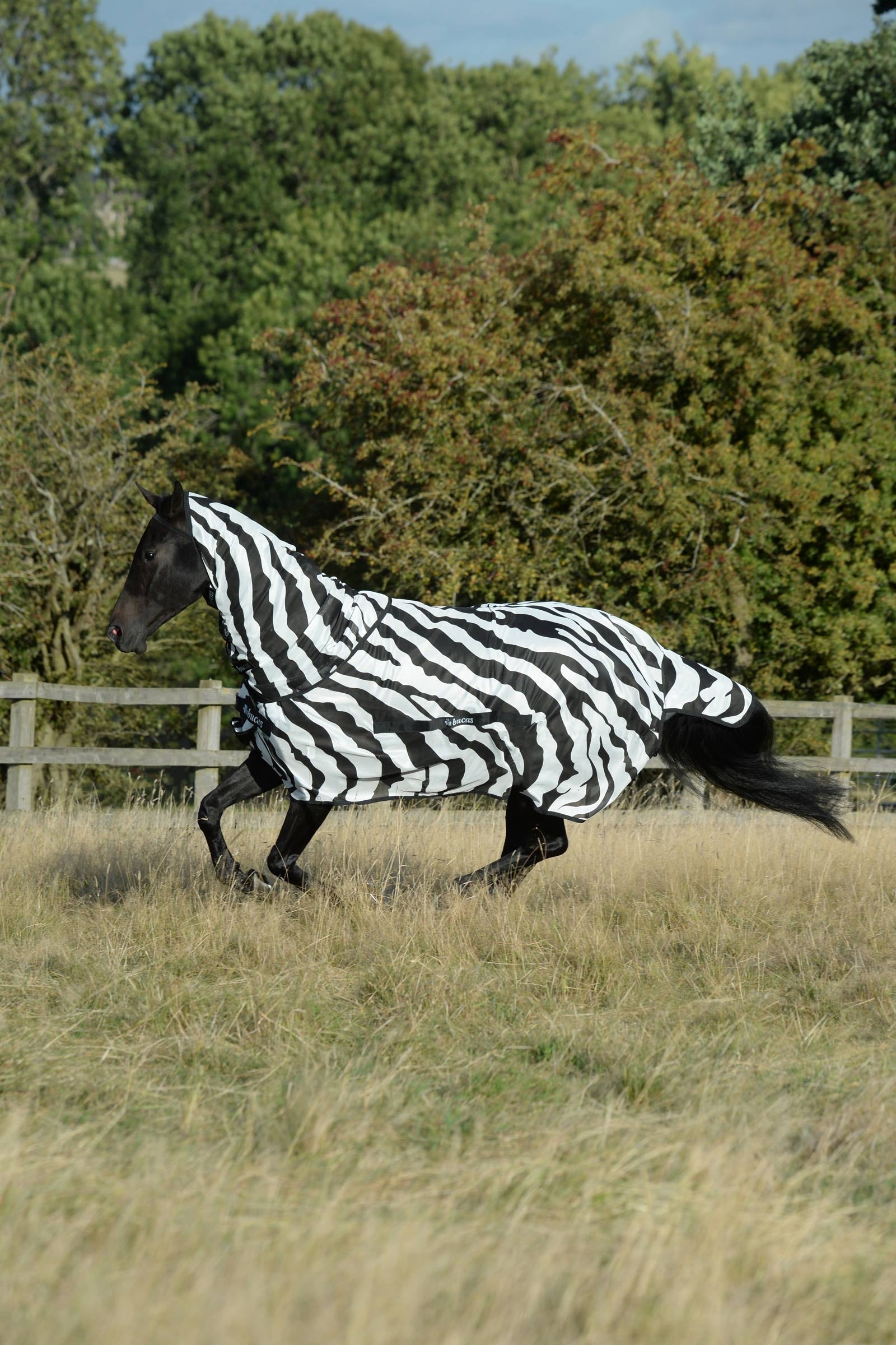 Bucas Buzz-Off Zebra Fly Rug With Full Neck Horse Rugs