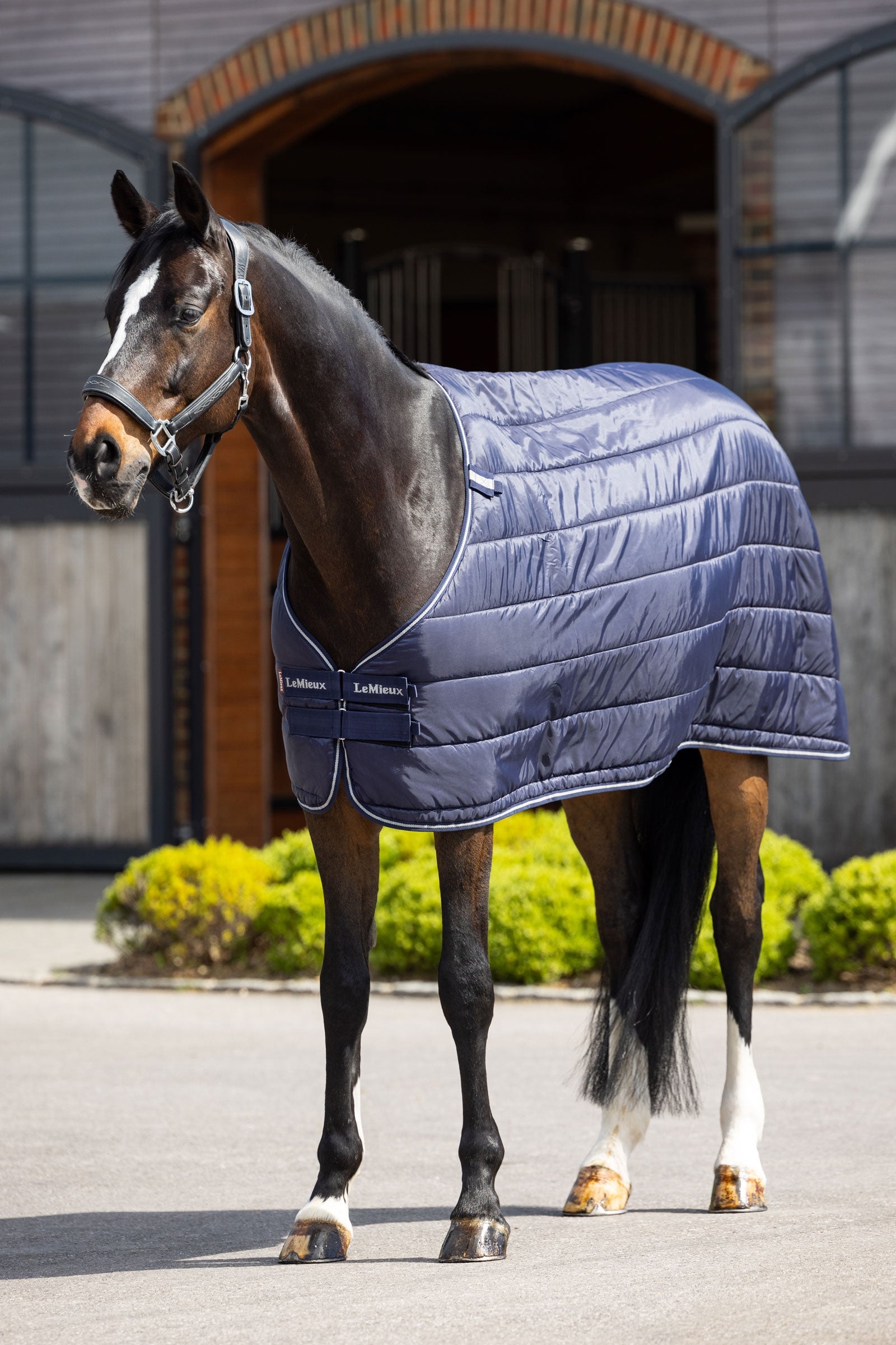 LeMieux Rug Liner, 200 g Horse Rugs