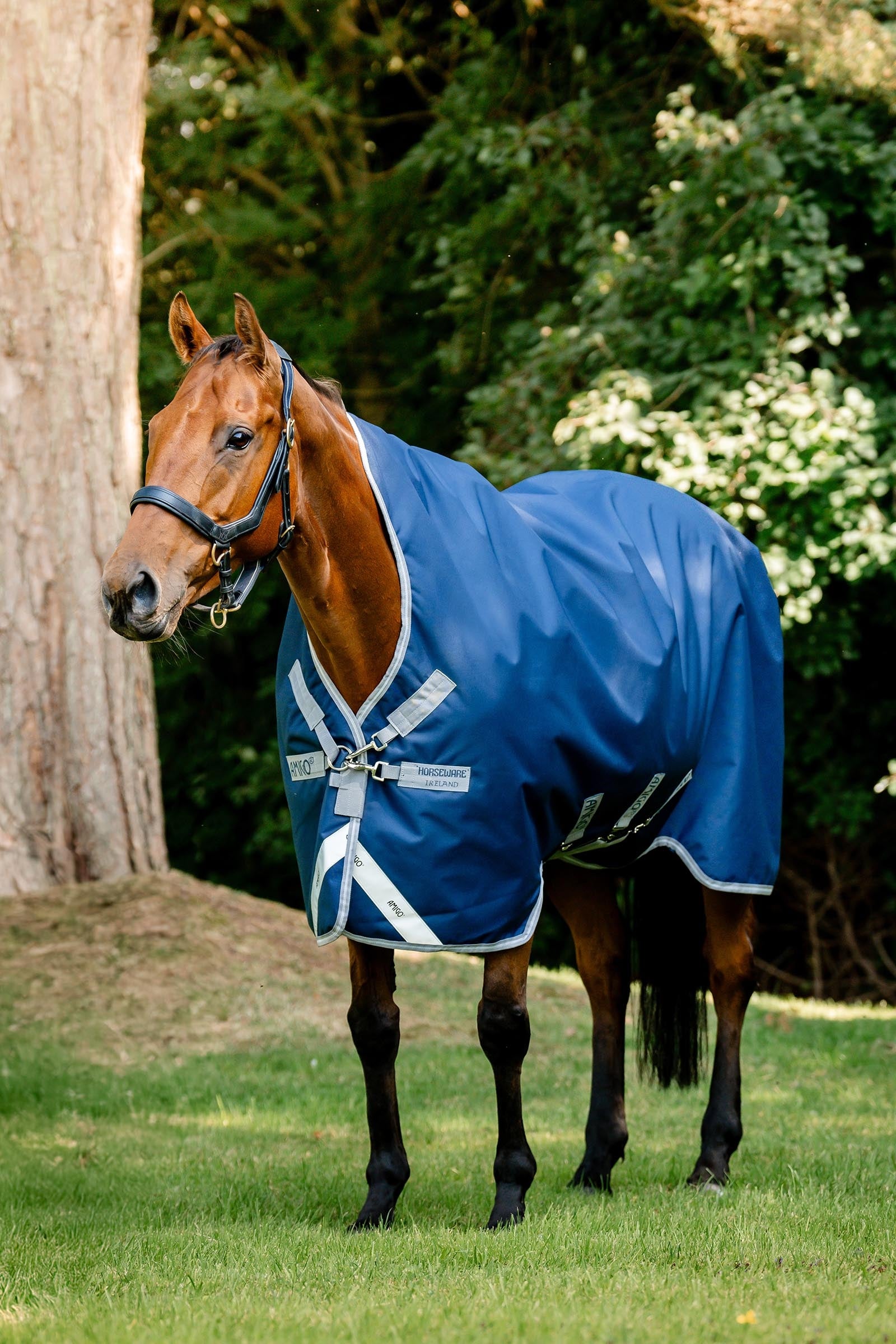 Horseware Amigo 1200D Wug Turnout 50 g Horse Rugs