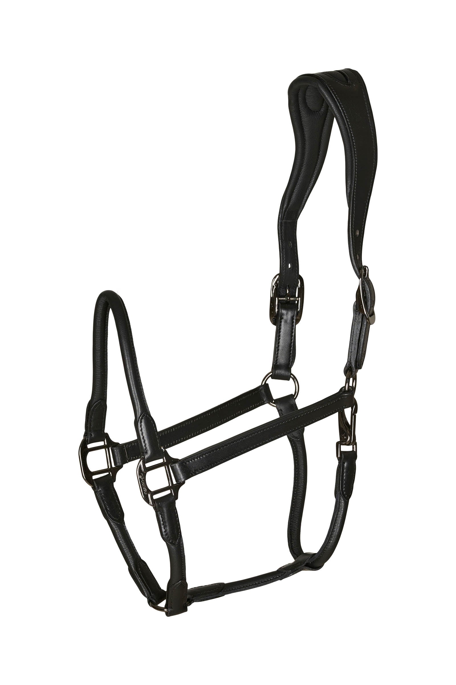 Catago leather halter with round-stitched noseband Kantary i uwiązy