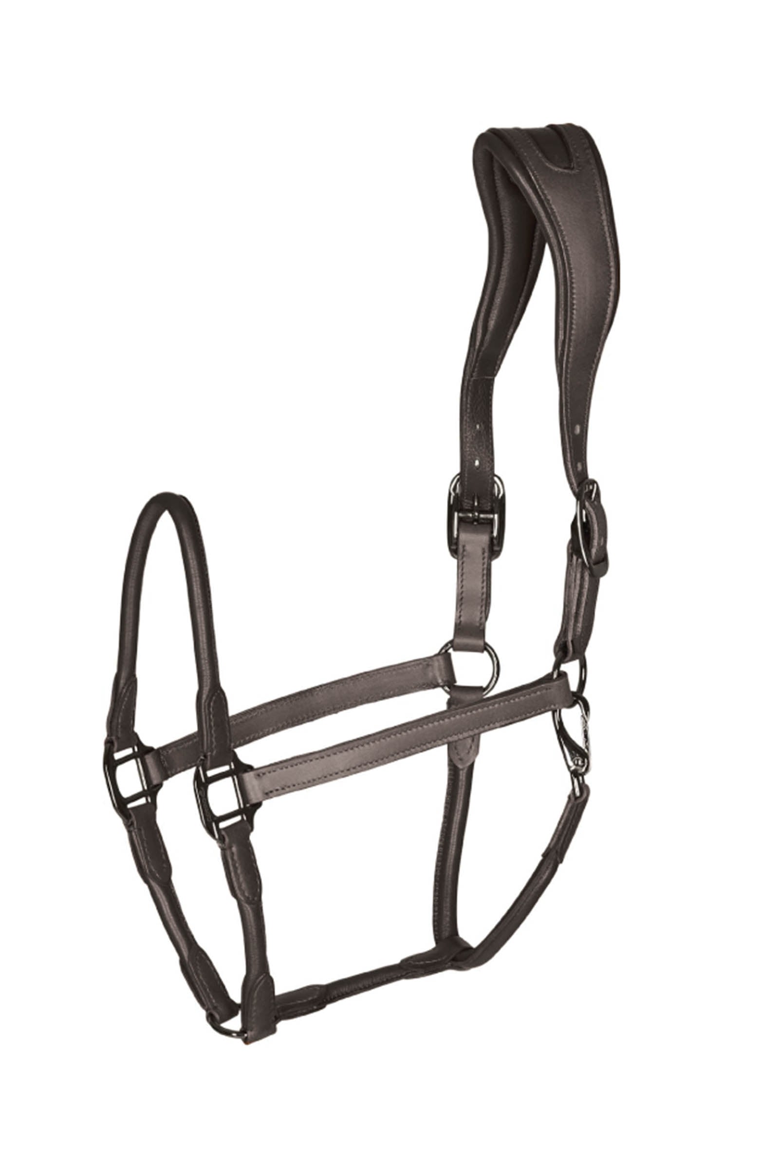 Catago leather halter with round-stitched noseband Kantary i uwiązy