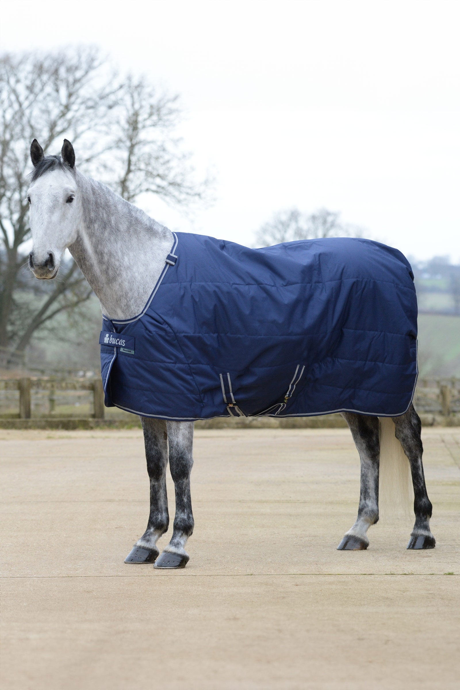Bucas Quilt Silk-feel, 150g Horse Rugs
