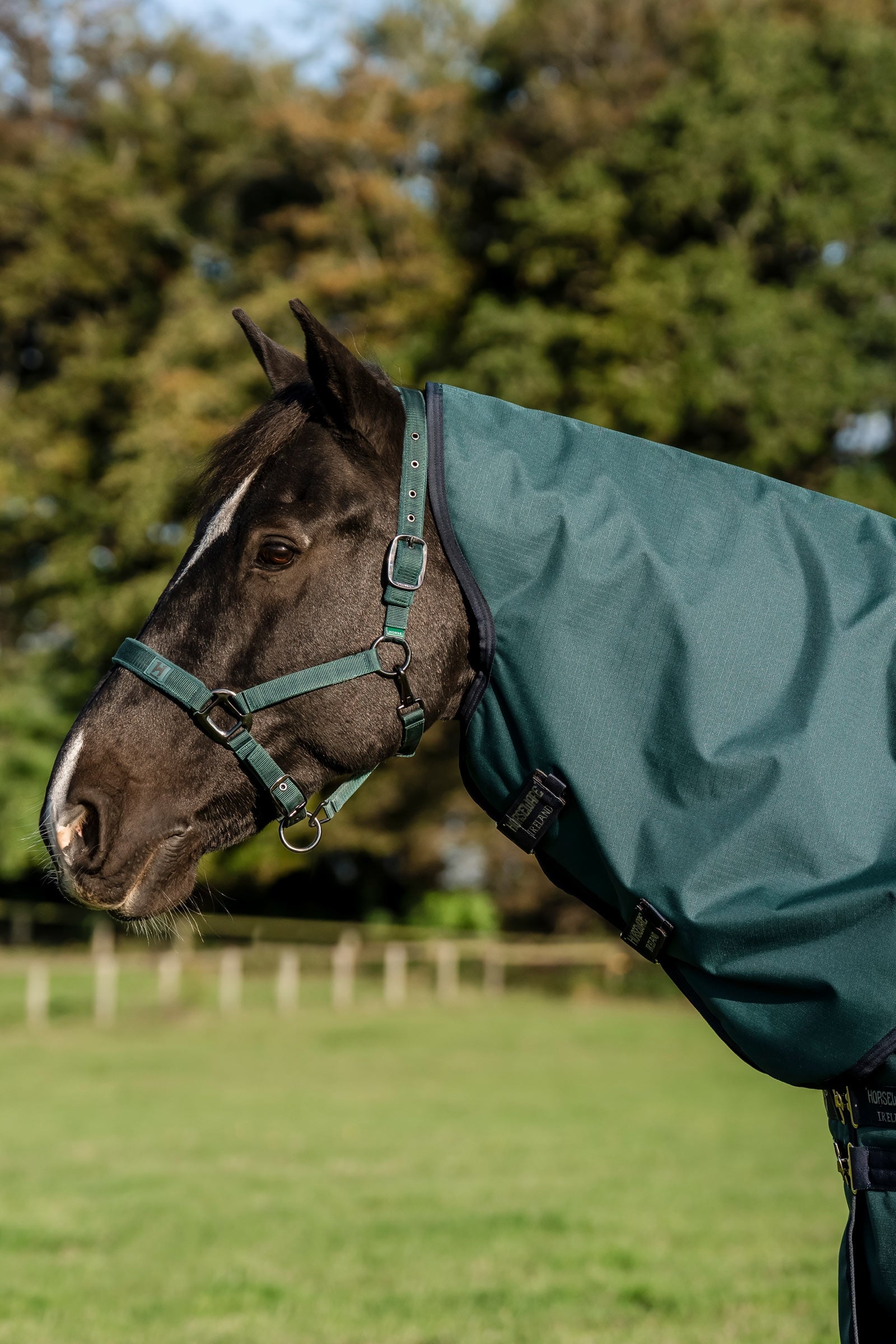 Horseware Amigo Ripstop 900D Plus Pony Turnout Rug, 100 g Horse Rugs