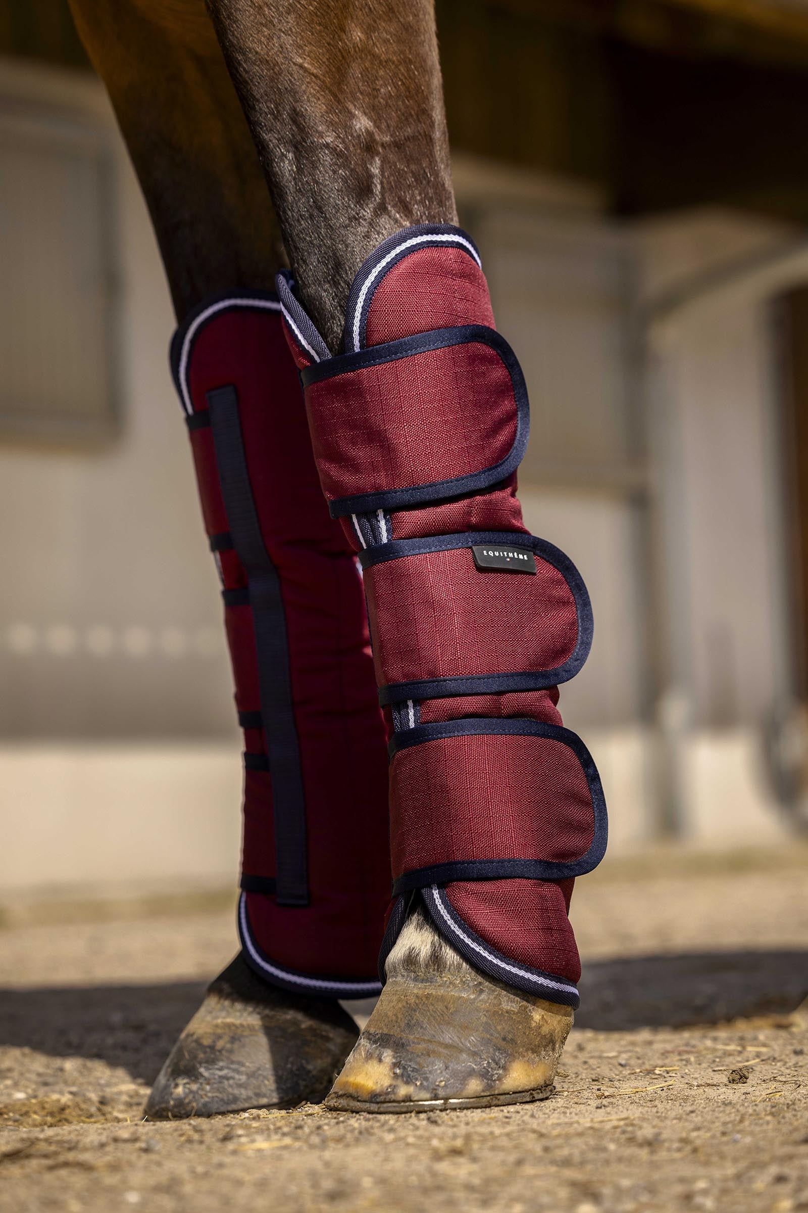 Equi Theme EQUITHÈME TYREX Aisance 1200D ochraniacze transportowe Leg & Hoof Protection