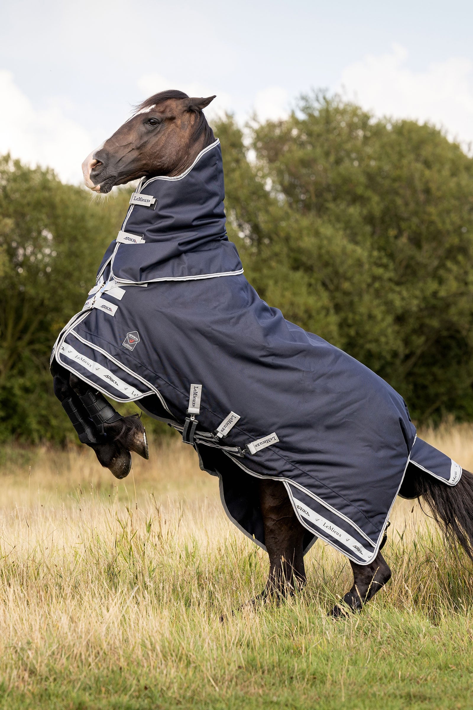 LeMieux Arika Storm-Tek 350g Horse Rugs