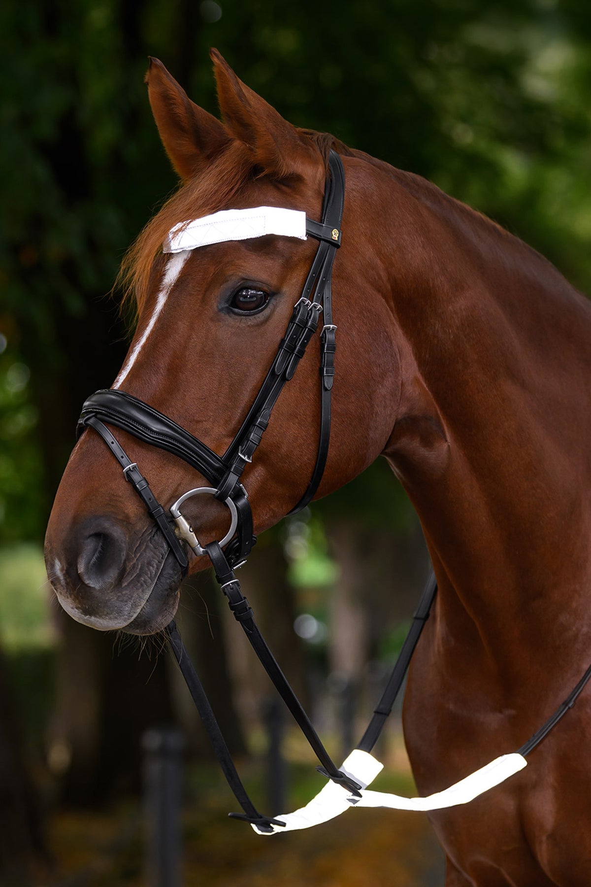 Waldhausen REFLEX Snaffle Bridle Set Reflective