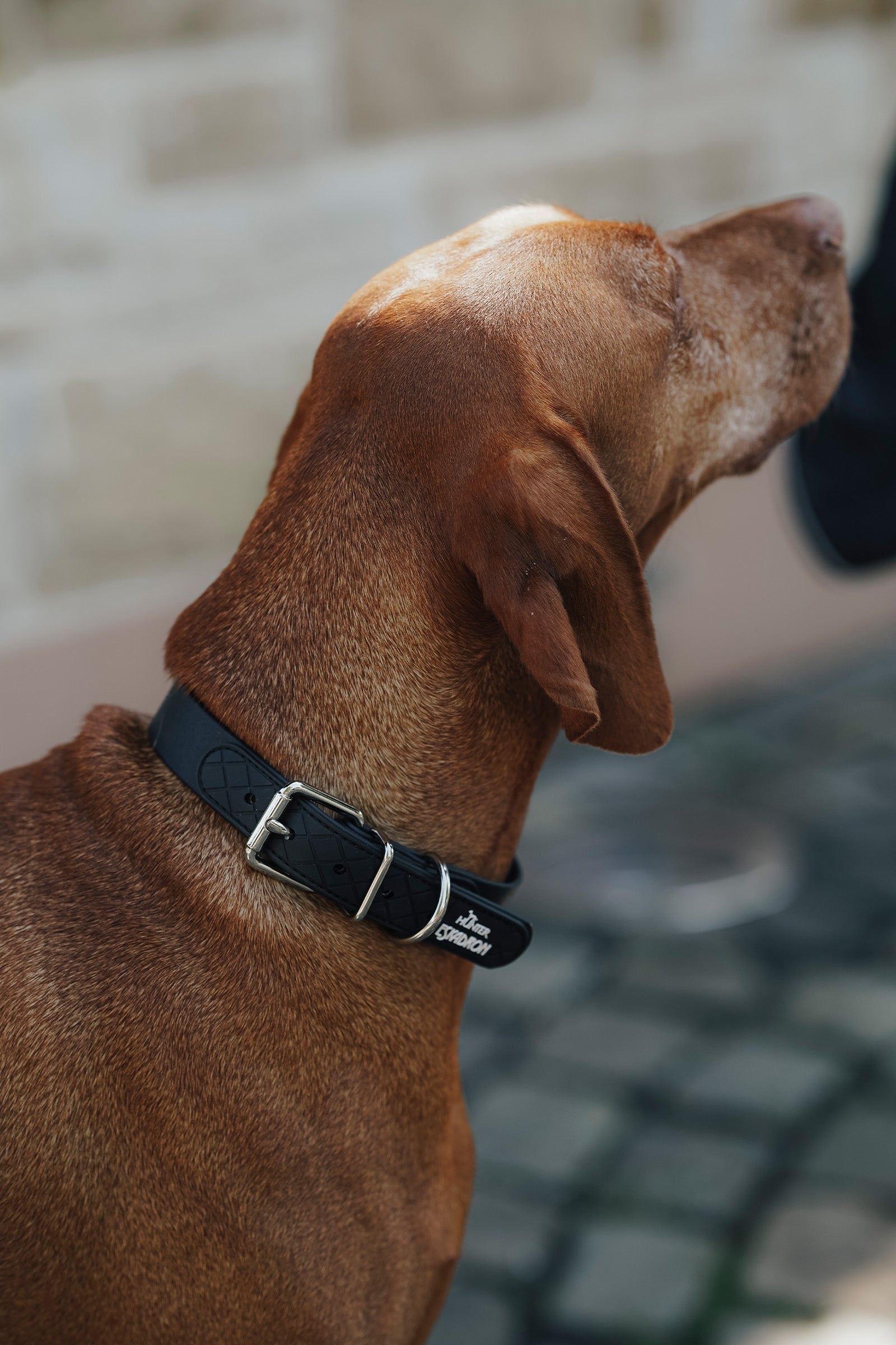 Lifestyle shot 1