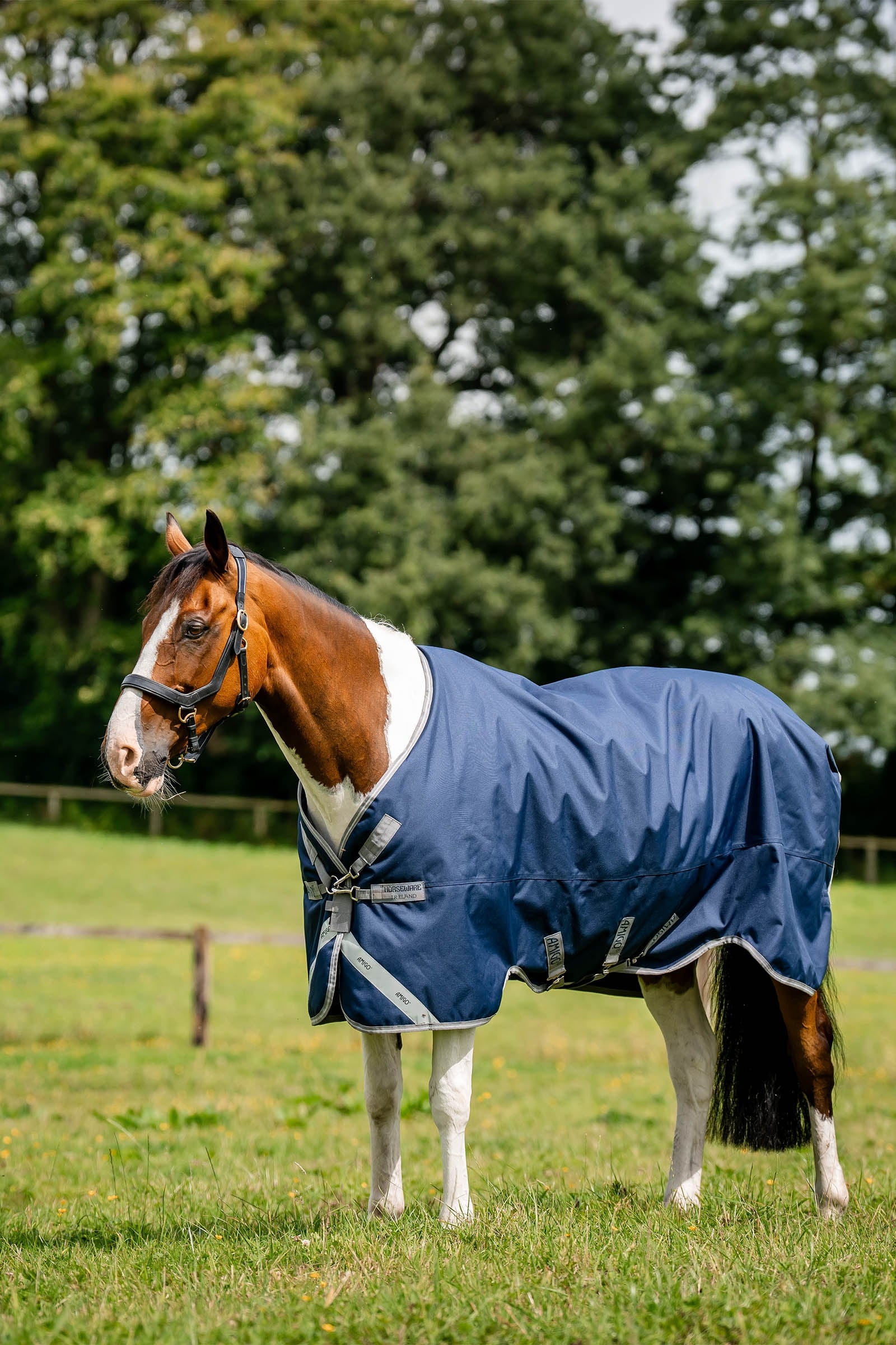 Horseware Amigo 1200D derka padokowa, 0 g Derki