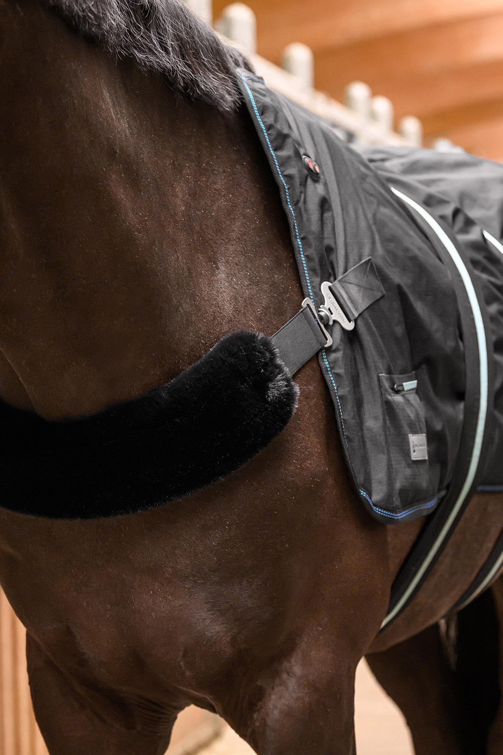 Waldhausen Health + Care Tec Supreme Heating & Massage Rug Horse Rugs