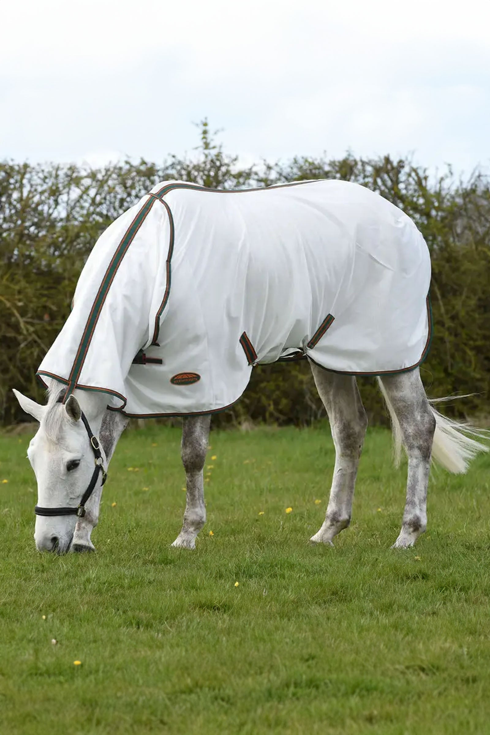 Weatherbeeta Comfitec Tyro Mesh Combo Neck Horse Rugs