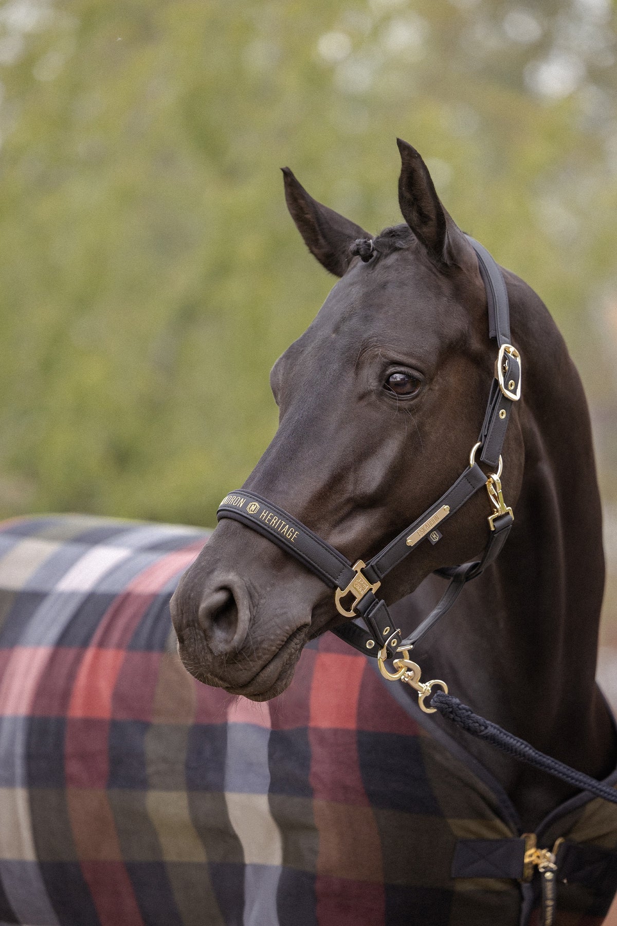Eskadron Heritage 26/27 Faux Leather Double PIN Headcollar Halters & Leads