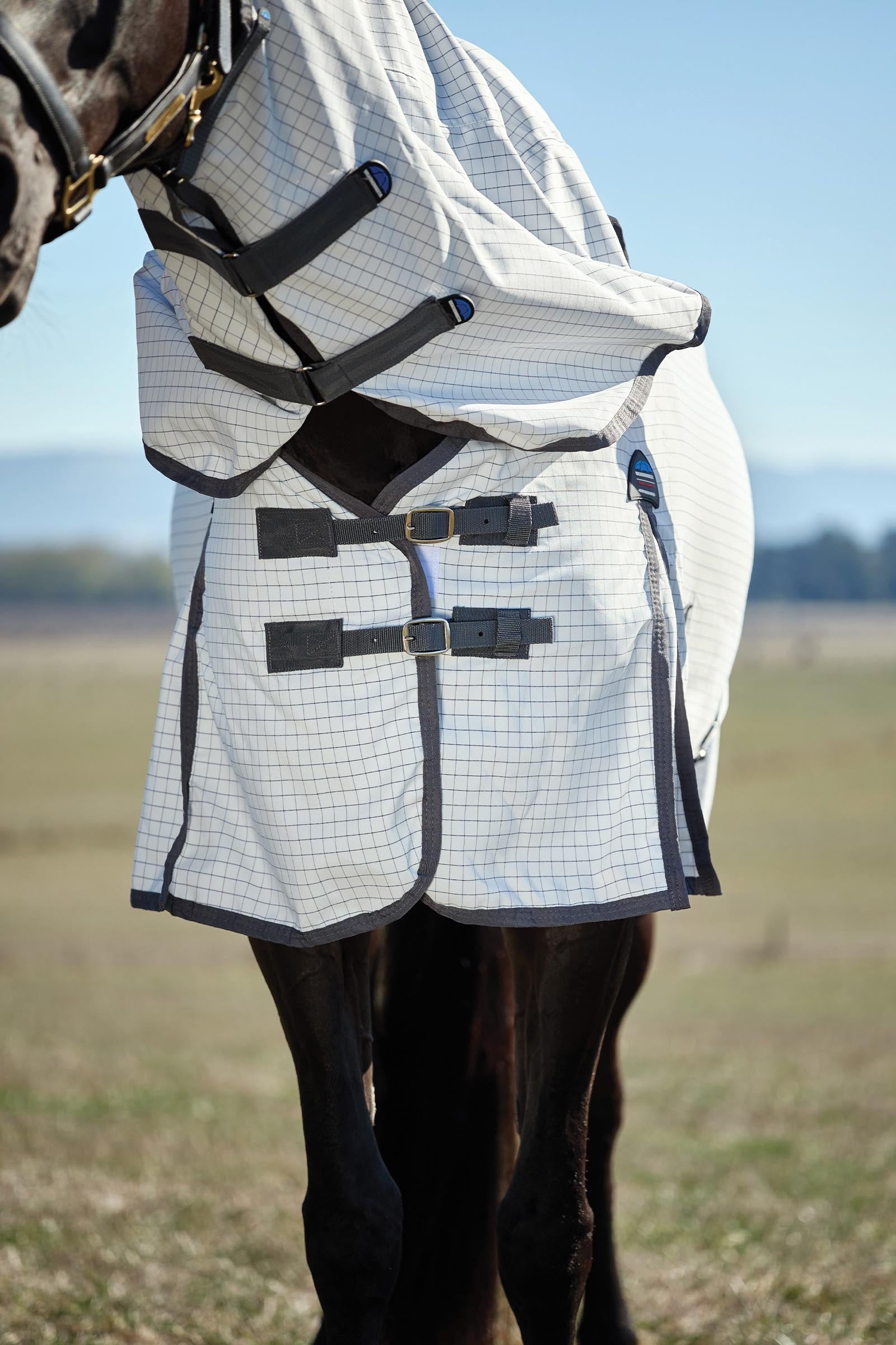 Weatherbeeta Hybrid Sheet Combo W. Fixed Neck, 0g Horse Rugs