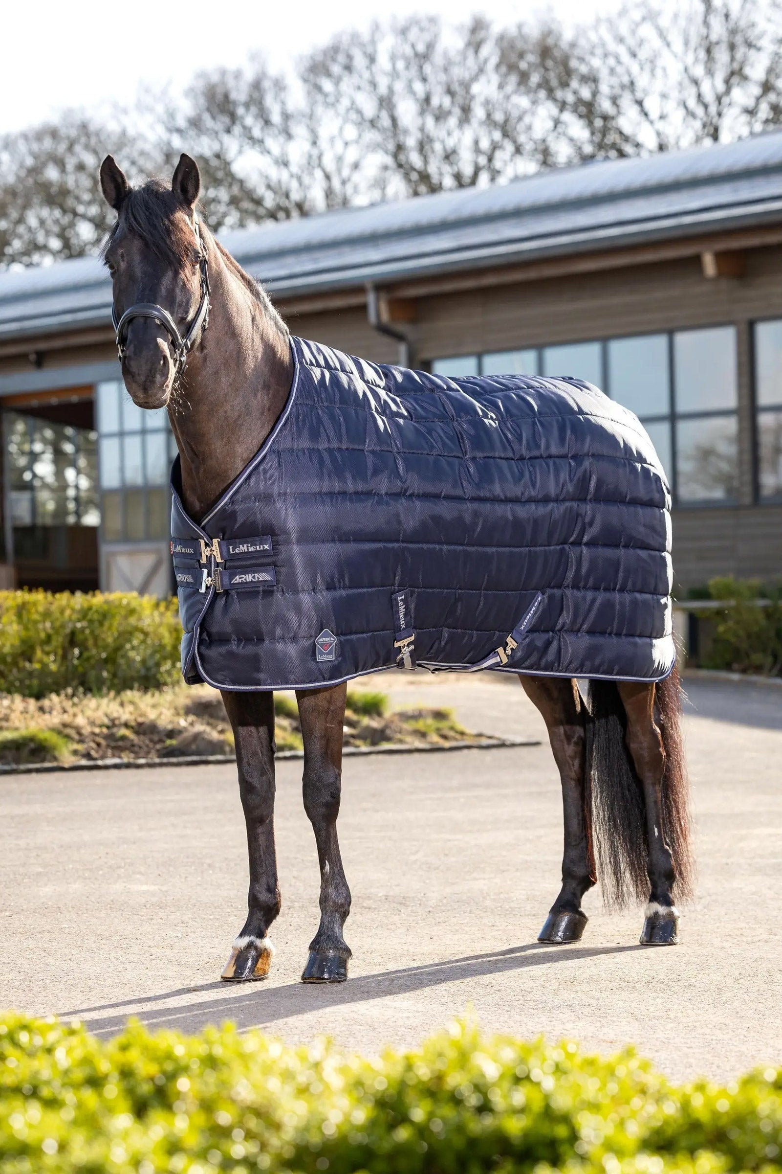 LeMieux Arika Stable-Tek Stable Rug, 200 g Derki