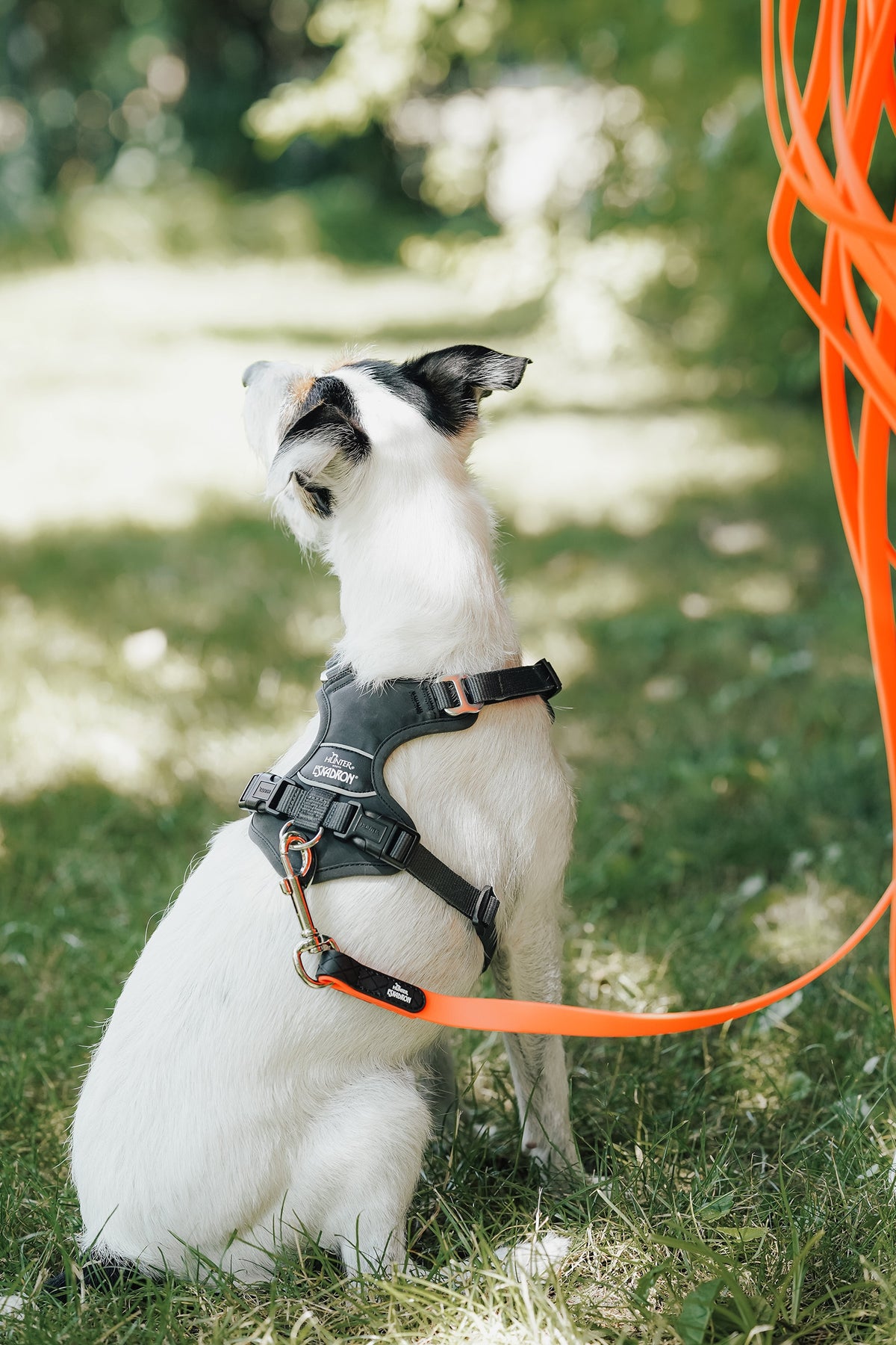 Eskadron Hunter x ESKADRON SPARK TRACKING Dog Leash Dog Accesories