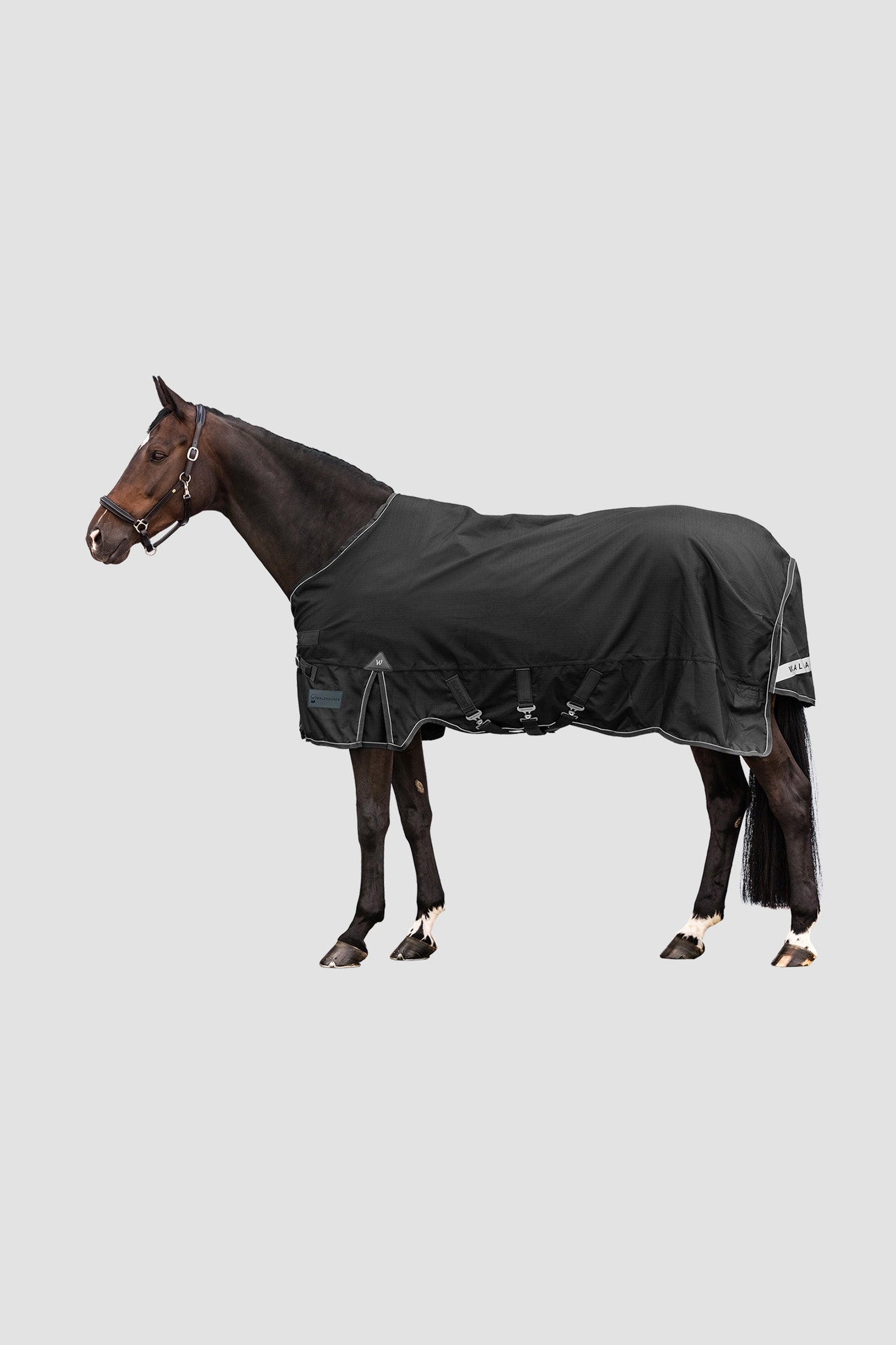 Waldhausen Outdoor Rug Scandic Light Derki