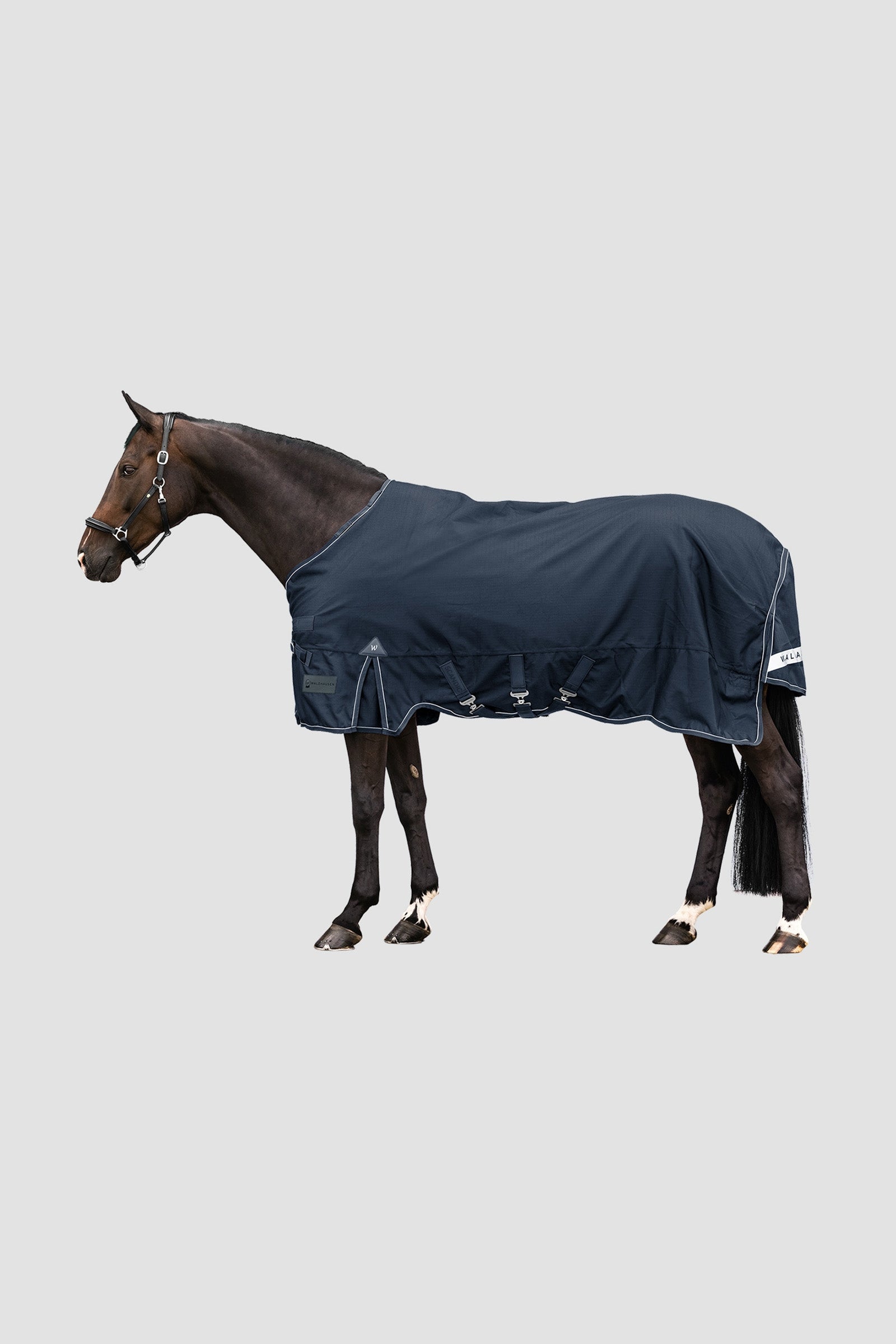 Waldhausen Outdoor Rug Scandic Light Horse Rugs