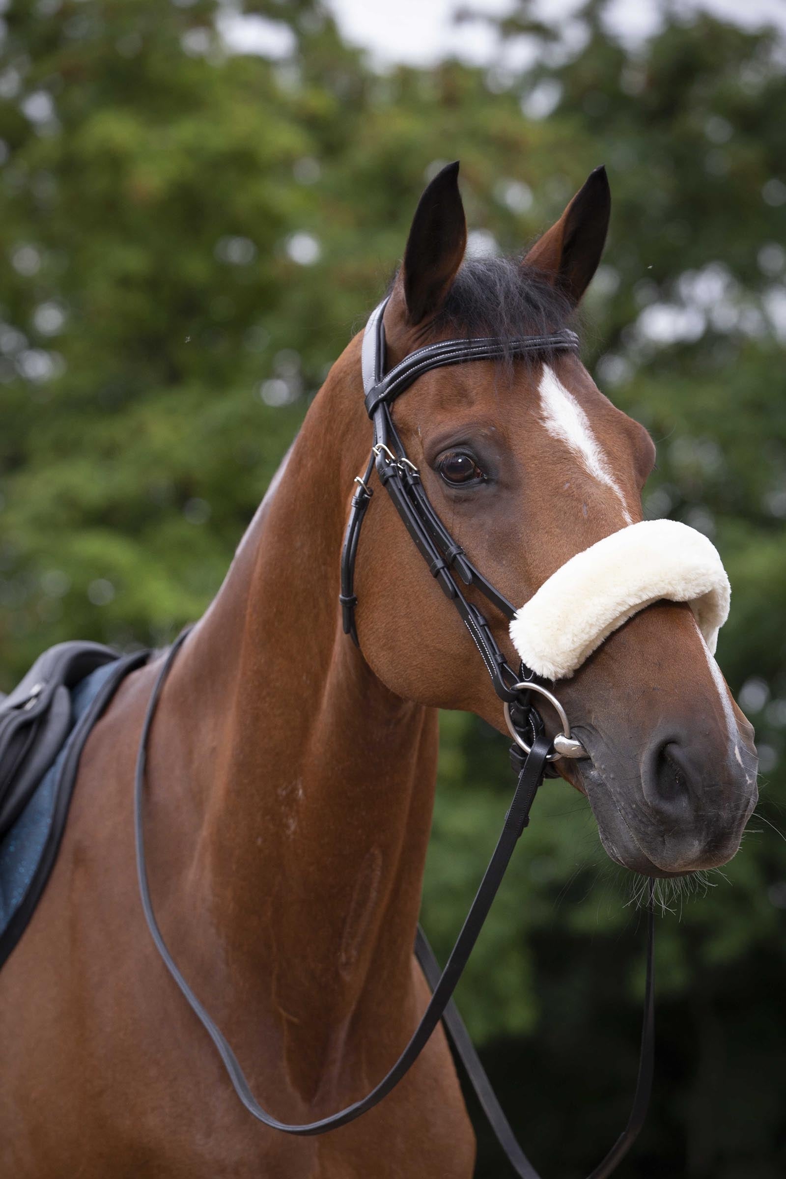 Equi Theme EQUITHÈME Teddy Noseband Sleeve Bridles & Reins