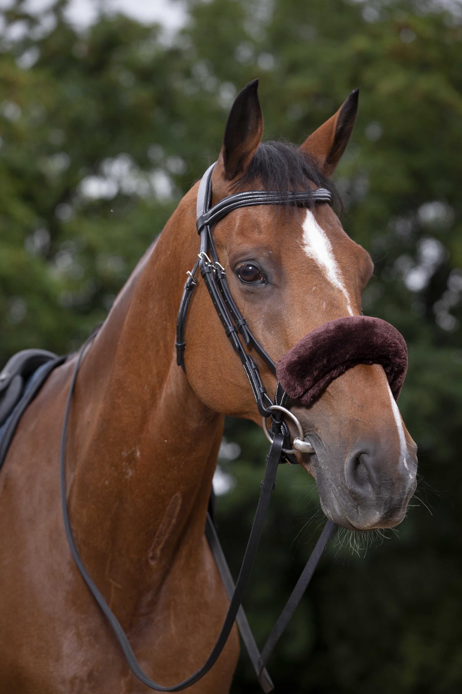 EQUITHÈME Teddy Noseband Sleeve Bridles & Reins