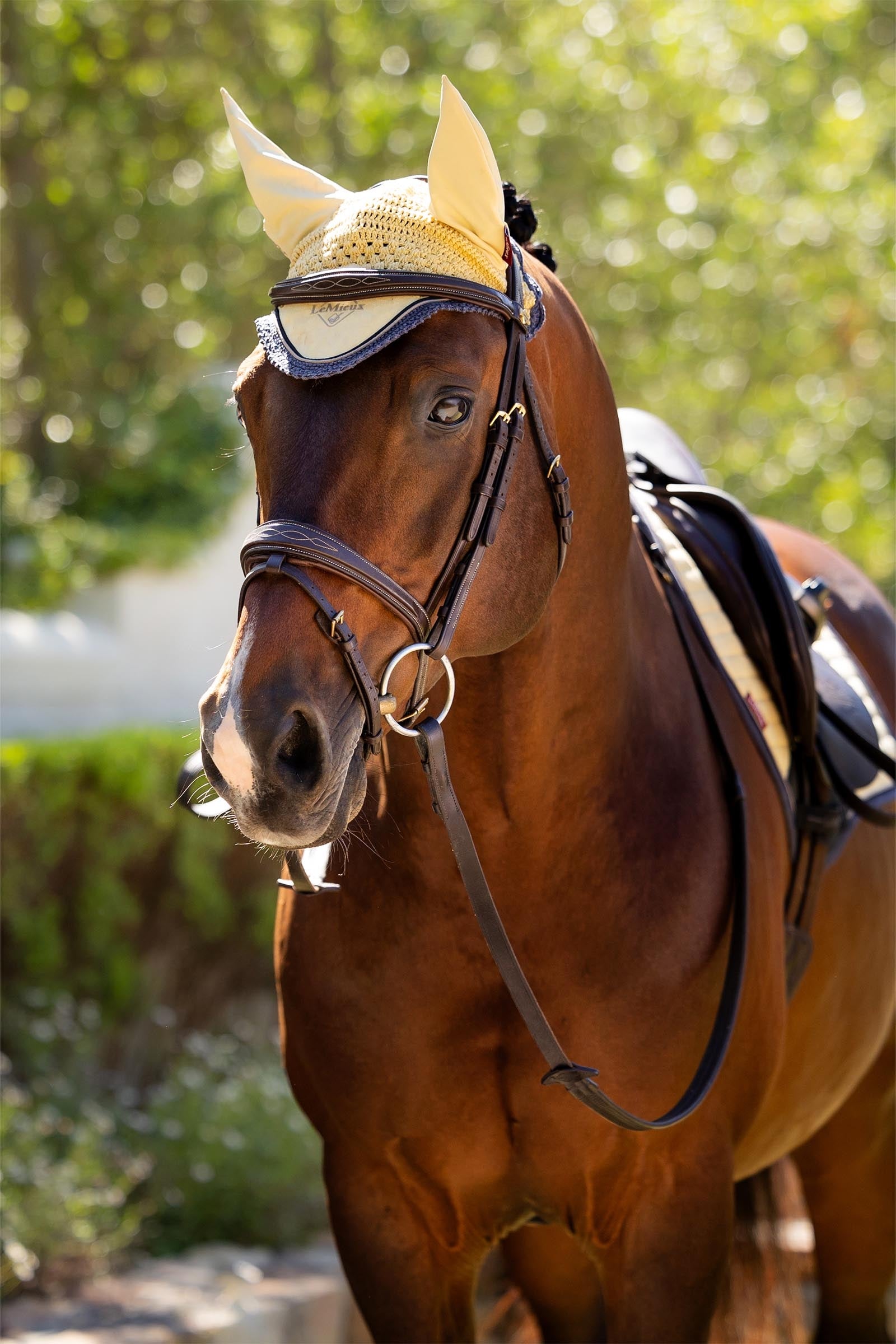 LeMieux Classic Fly Hood Saddle Pads
