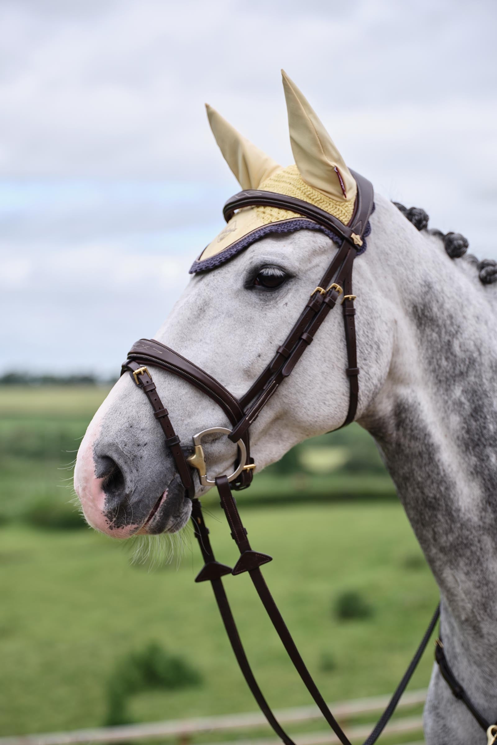 LeMieux Classic Fly Hood Saddle Pads