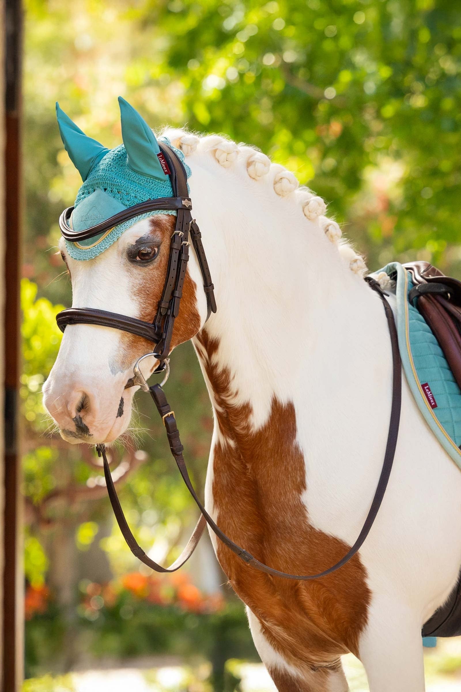 LeMieux Classic Fly Hood Saddle Pads