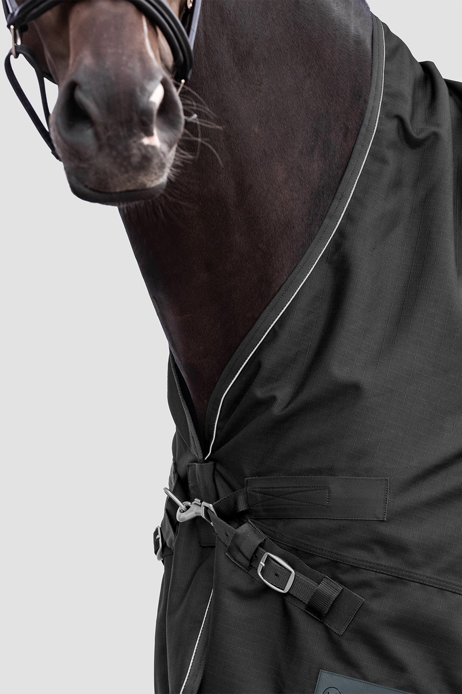 Waldhausen Outdoor Rug Scandic High Neck Light Horse Rugs