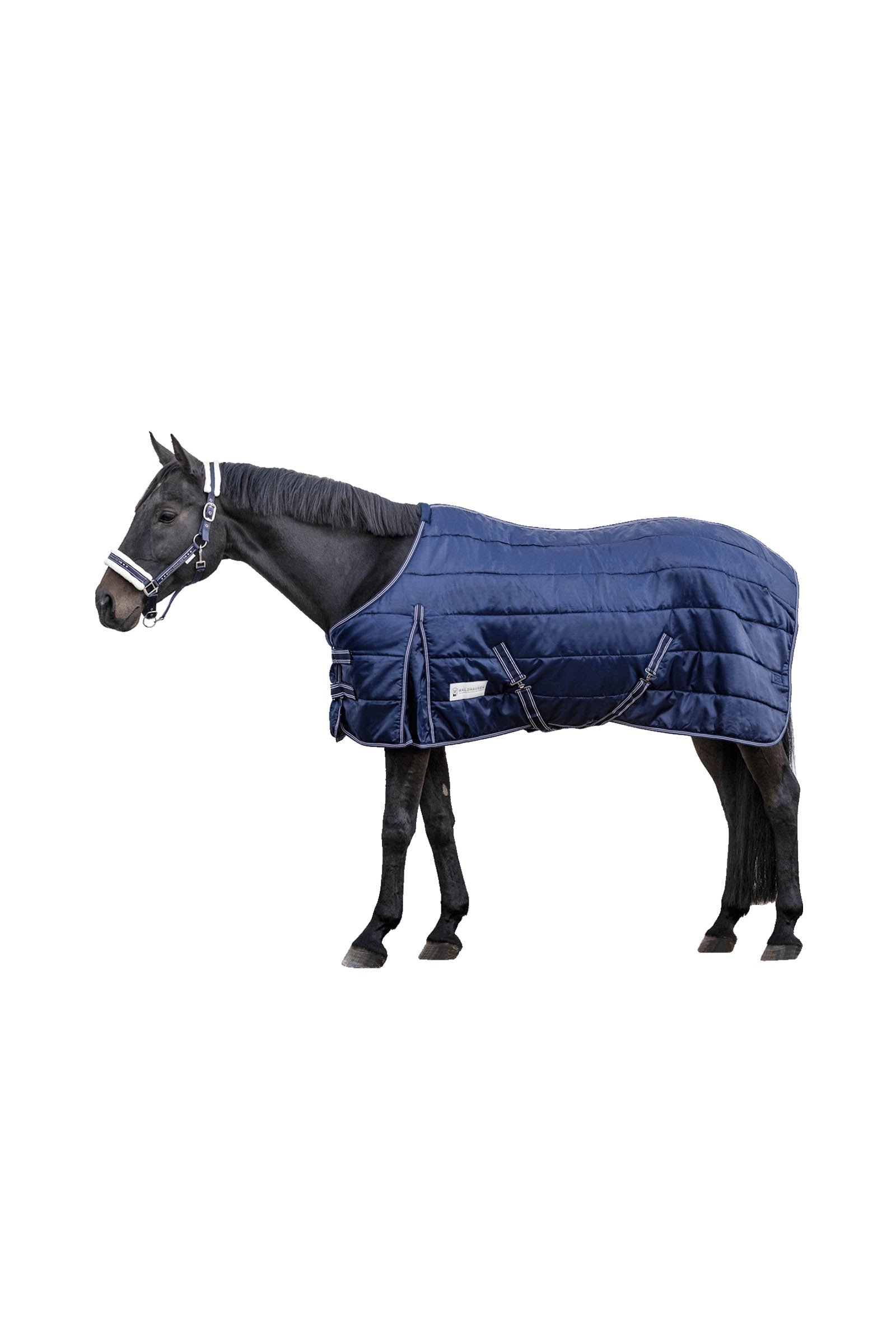 Waldhausen Stable rug Economic 200 g Horse Rugs
