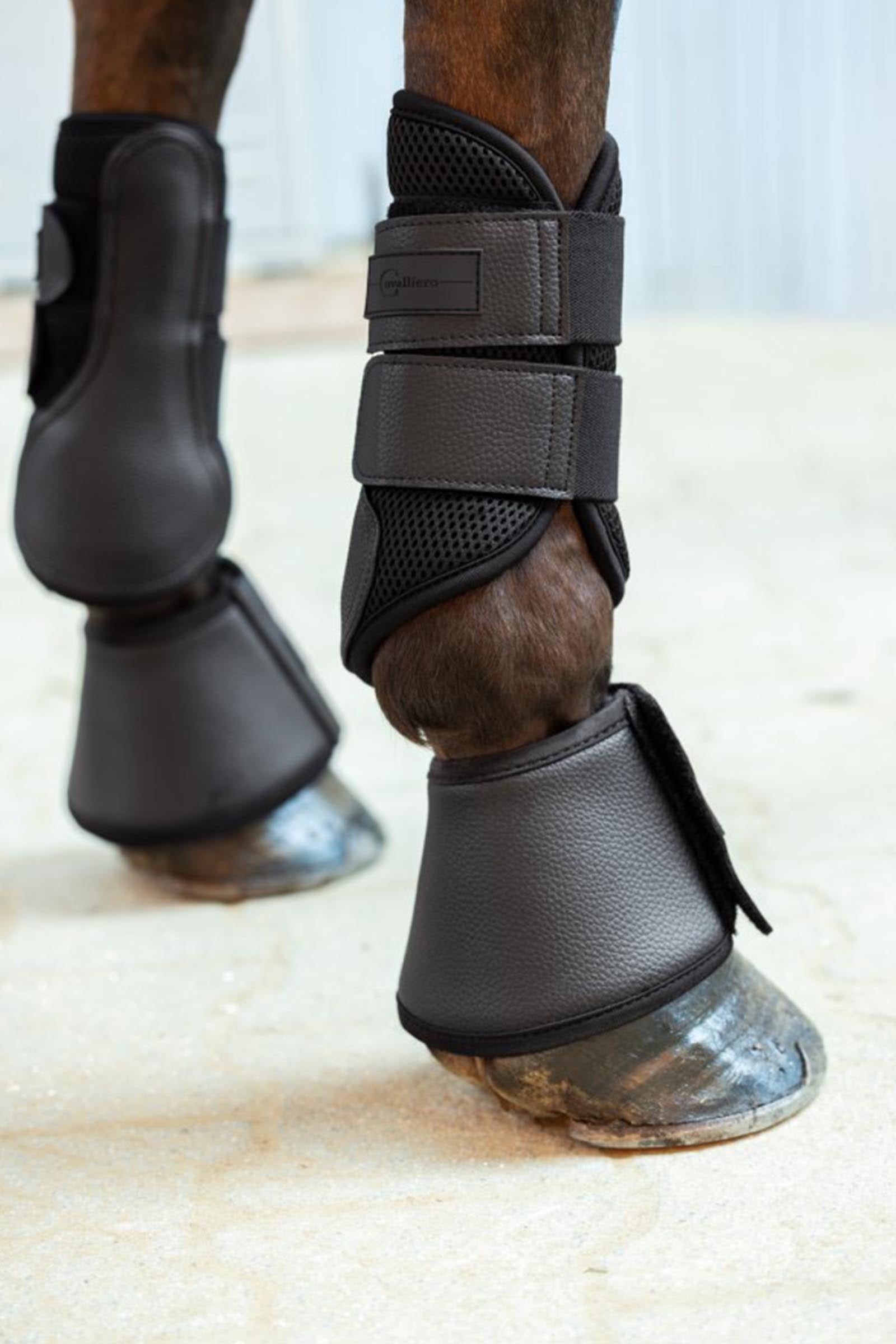 Covalliero Avina Bell Boots Leg Protection & Hoof Protection for Horses