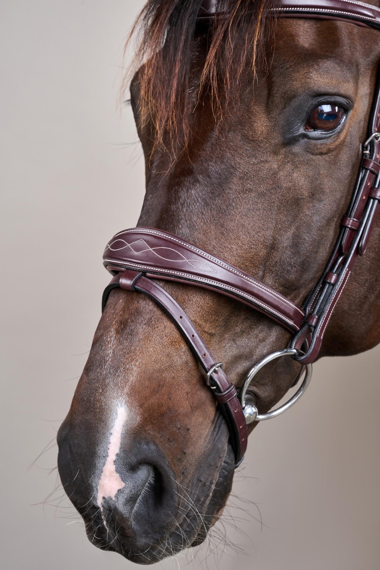 Dy'on US-Collection Anatomic Flash Noseband Bridle Bridles & Reins