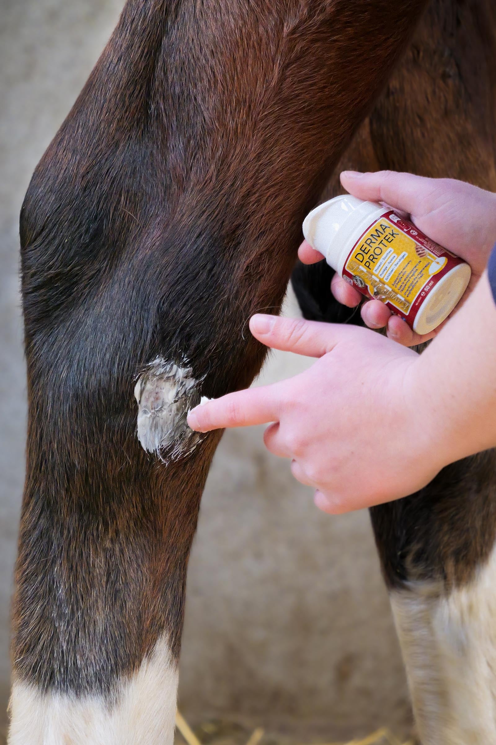Kevin Bacon´s Kevin Bacon's Derma Protek, 50 ml Horse Health Care