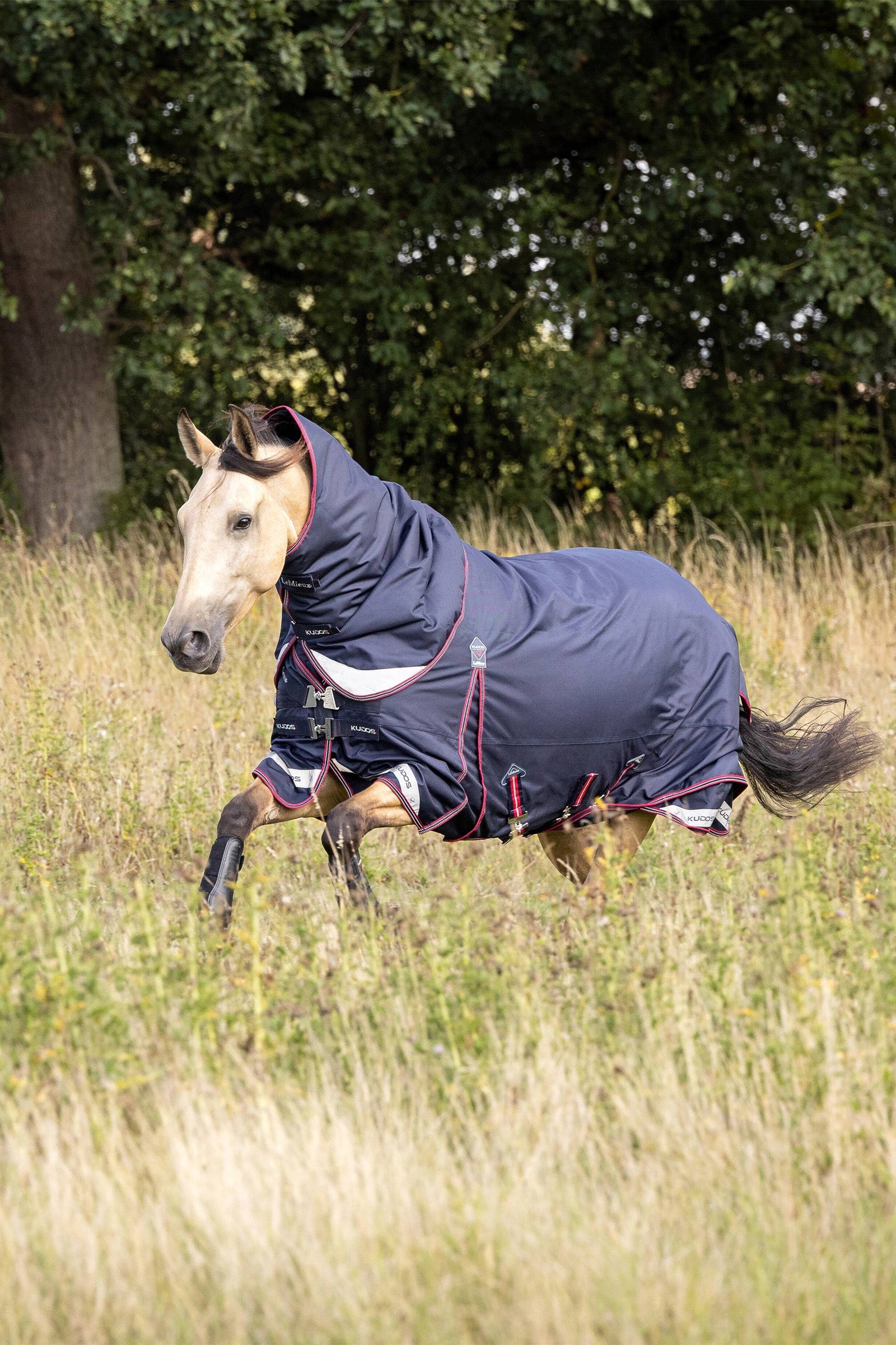 LeMieux Kudos Lightweight Turnout Rug, 50 g Derki
