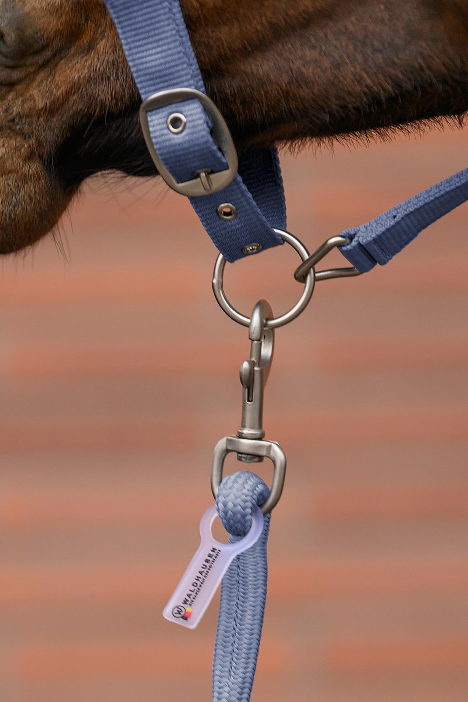 Waldhausen Velvet Halter and Lead Rope Set Halters & Leads