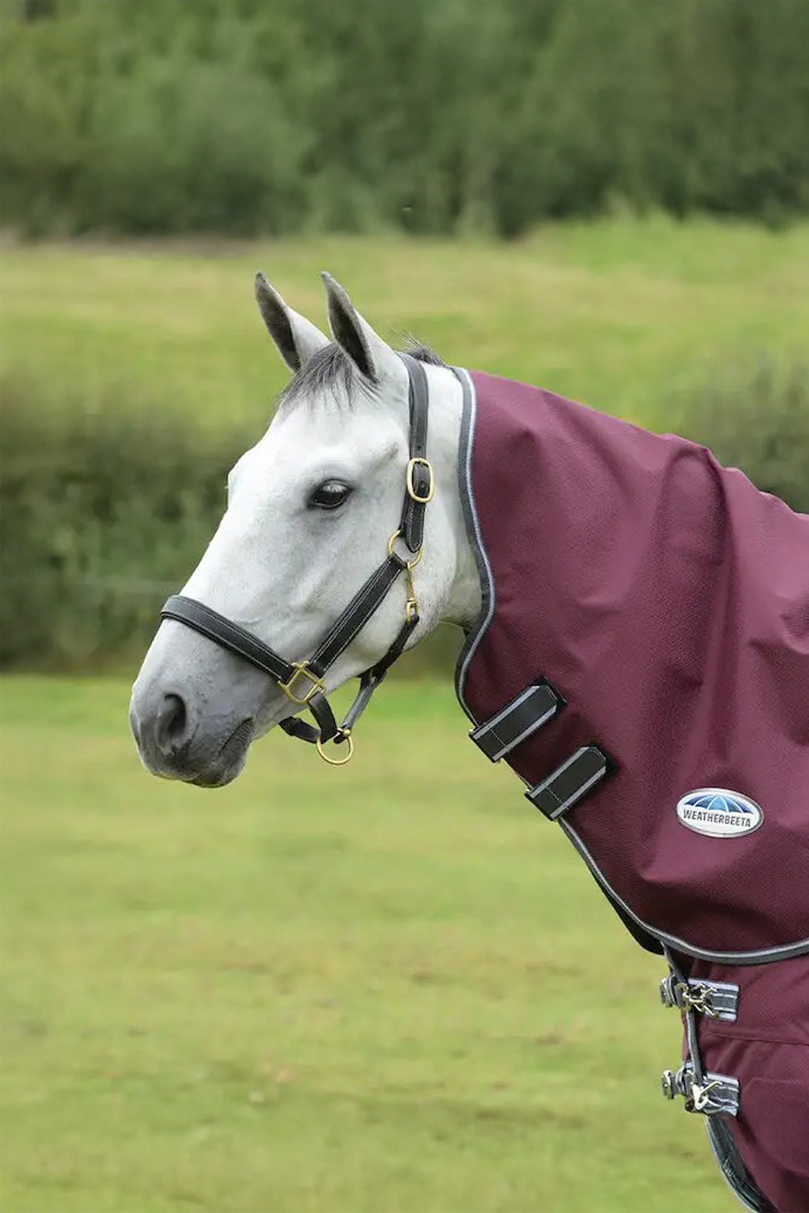 Weatherbeeta Comfitec Plus Dynamic II Medium/Lite Kaptur do derki, 100g Derki