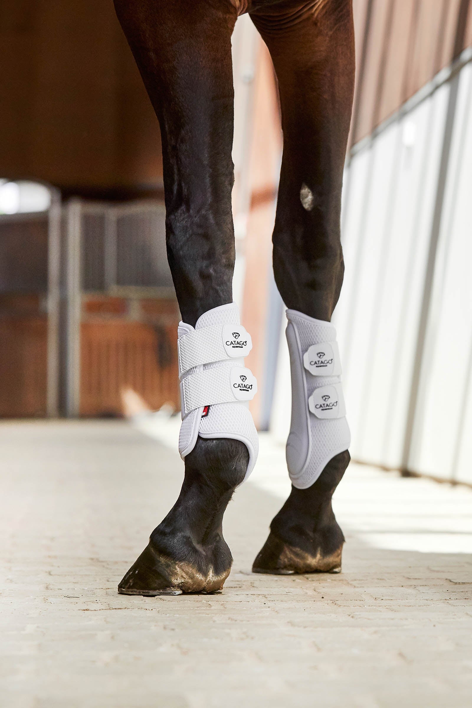 Catago Fir-Tech Training Boots Leg & Hoof Protection