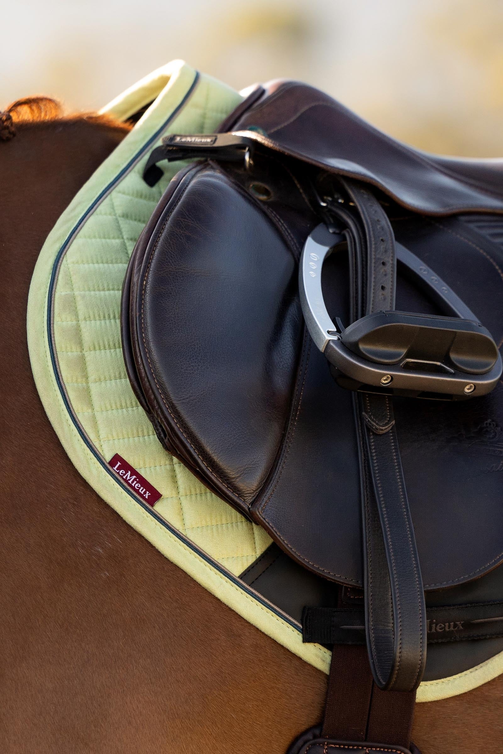 LeMieux Suede Close Contact Saddle Pad Saddle Pads