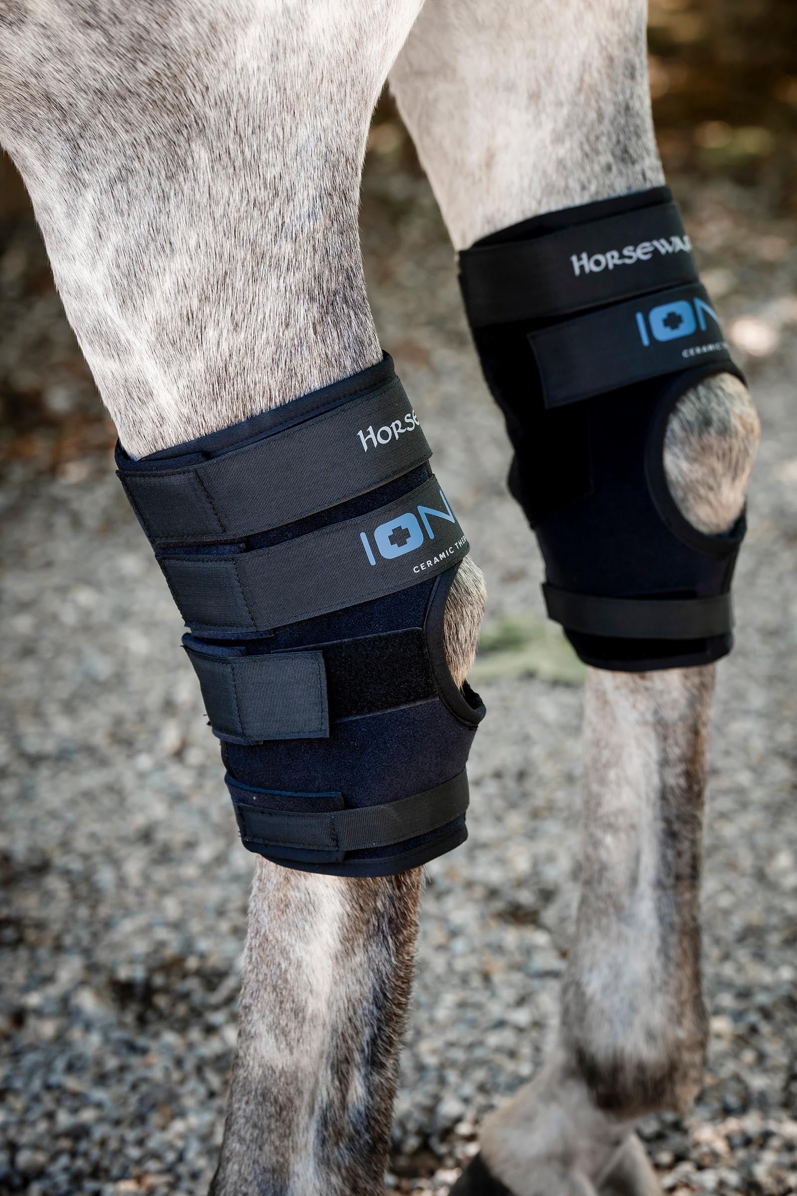 Horseware Ionic ochraniacze na stawy skokowe – zestaw 2 szt. Leg Protection & Hoof Protection for Horses