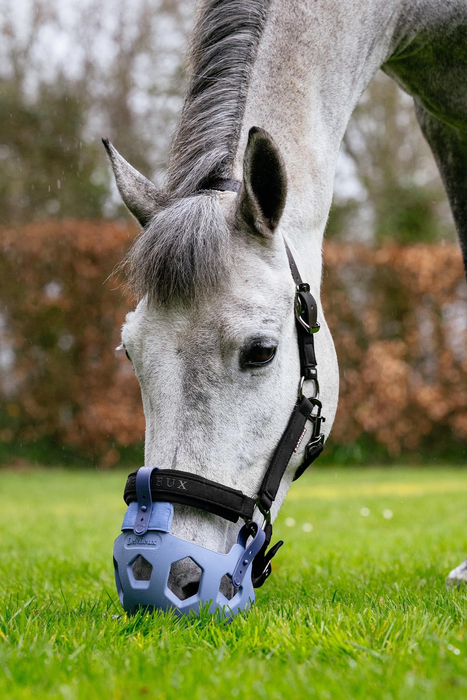 LeMieux Noma Grazing Muzzle Halters & Leads