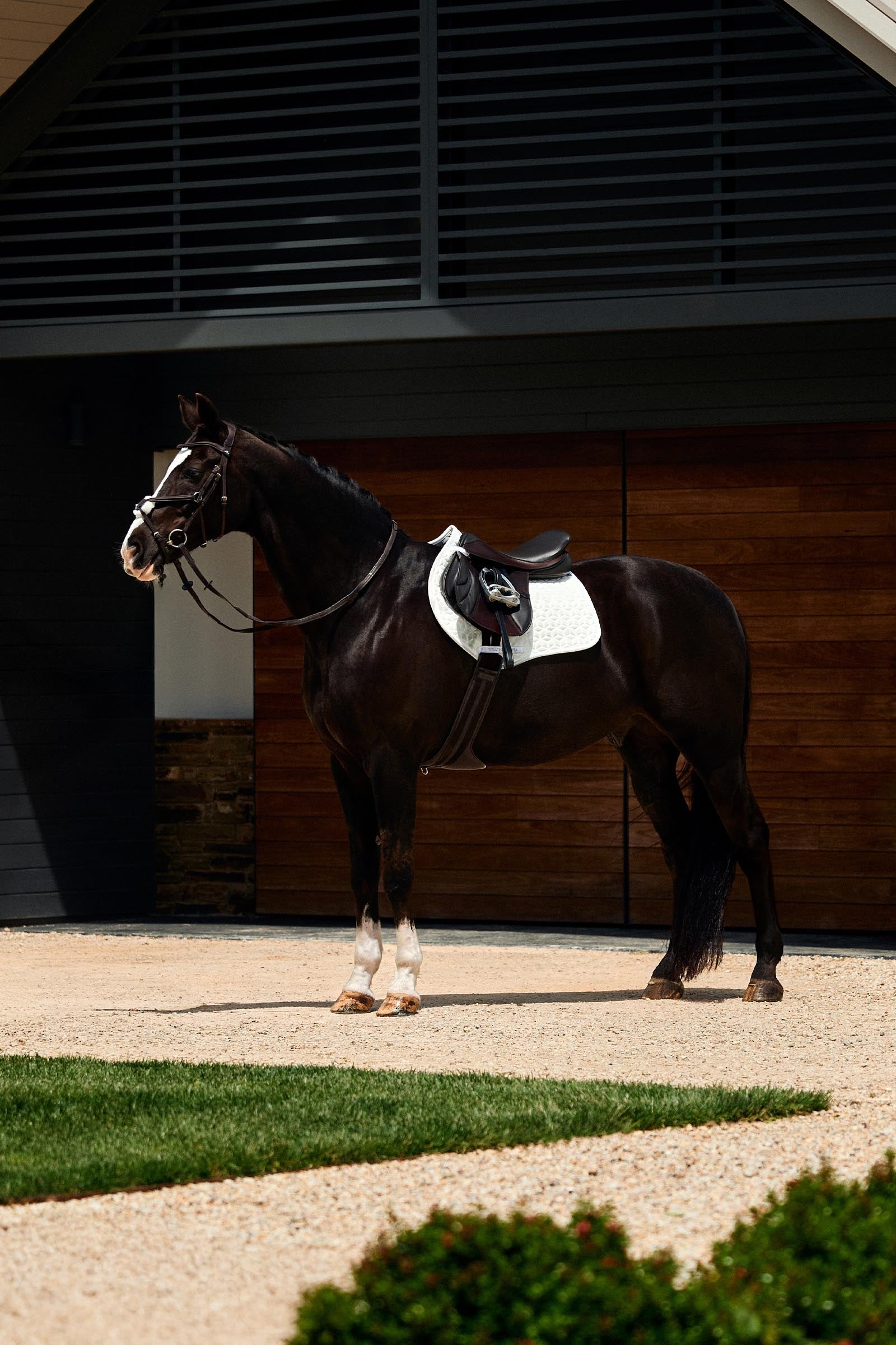 Weatherbeeta Suede Elite Air-Tec Jump Shaped Saddle Pad Saddle Pads