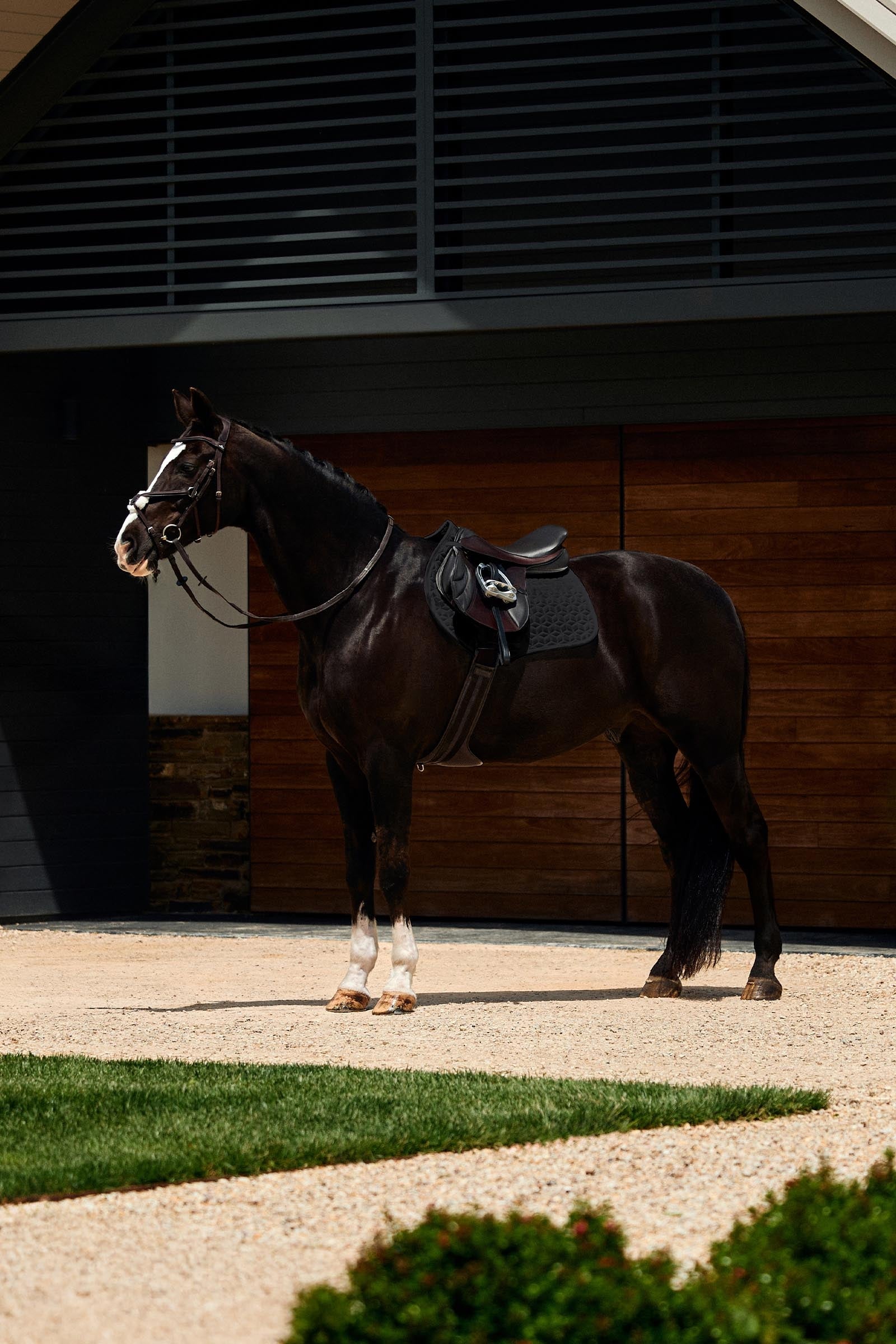 Weatherbeeta Suede Elite Air-Tec Jump Shaped Saddle Pad Saddle Pads