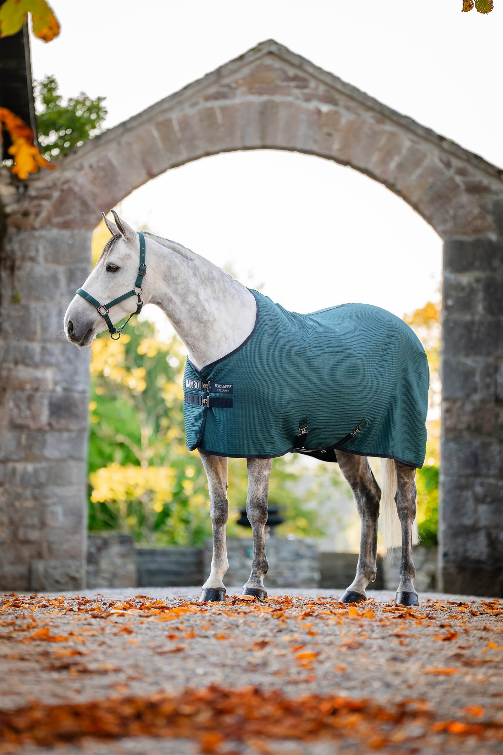 Horseware Rambo Techni Waffle Cooler Horse Rugs