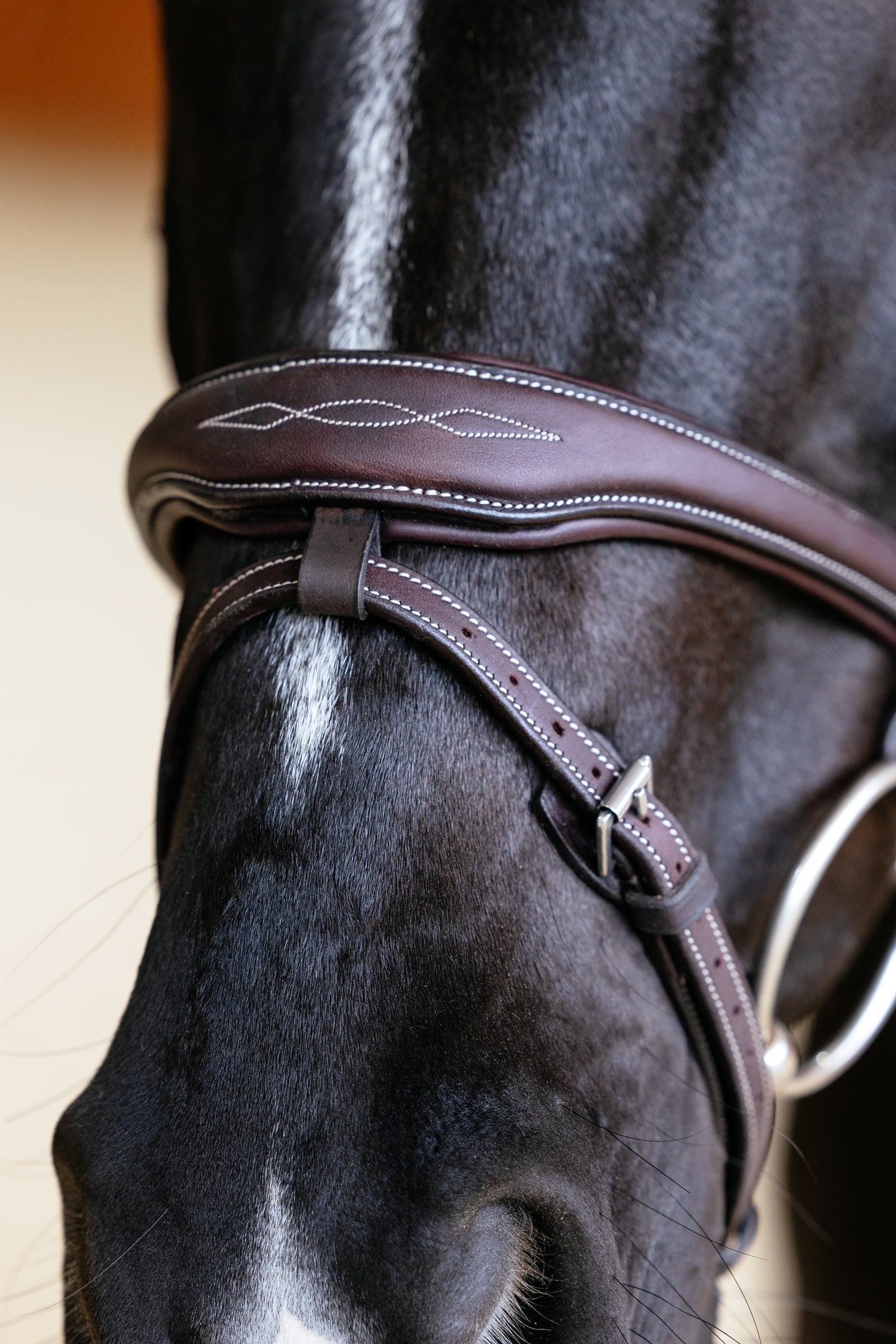 LeMieux Kudos Contour Anatomichal Flash Bridle Bridles & Reins
