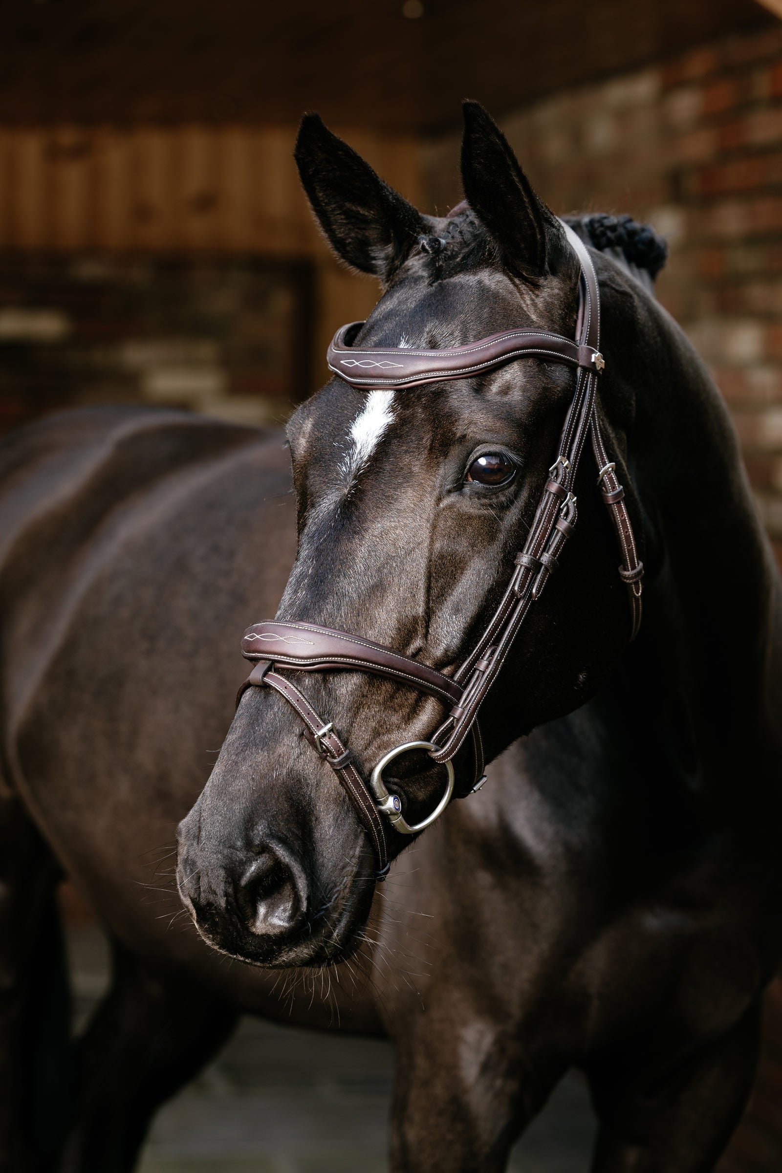 LeMieux Kudos Contour Anatomichal Flash Bridle Bridles & Reins