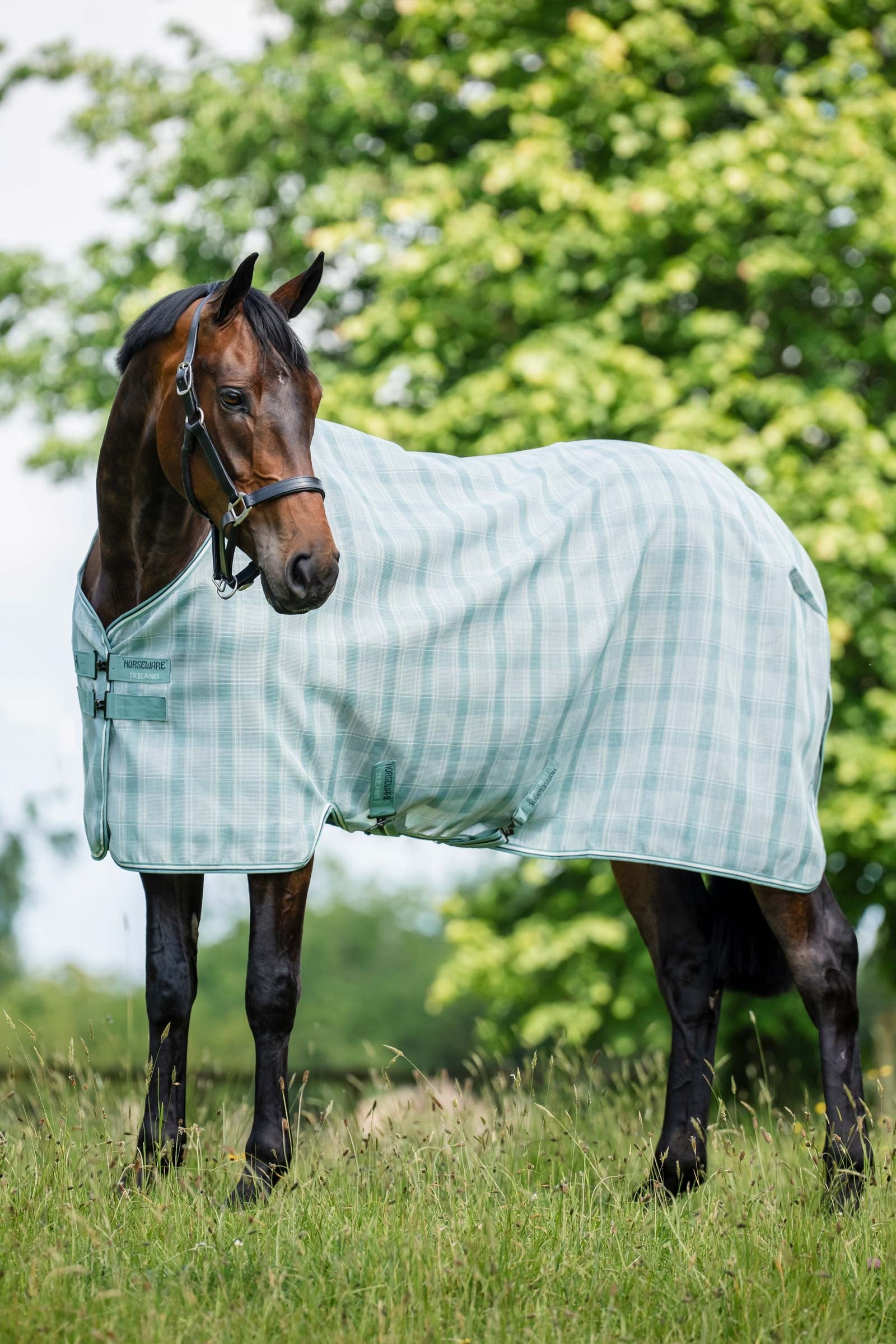 Horseware Newmarket derka przeciw owadom z ochroną UV Derki