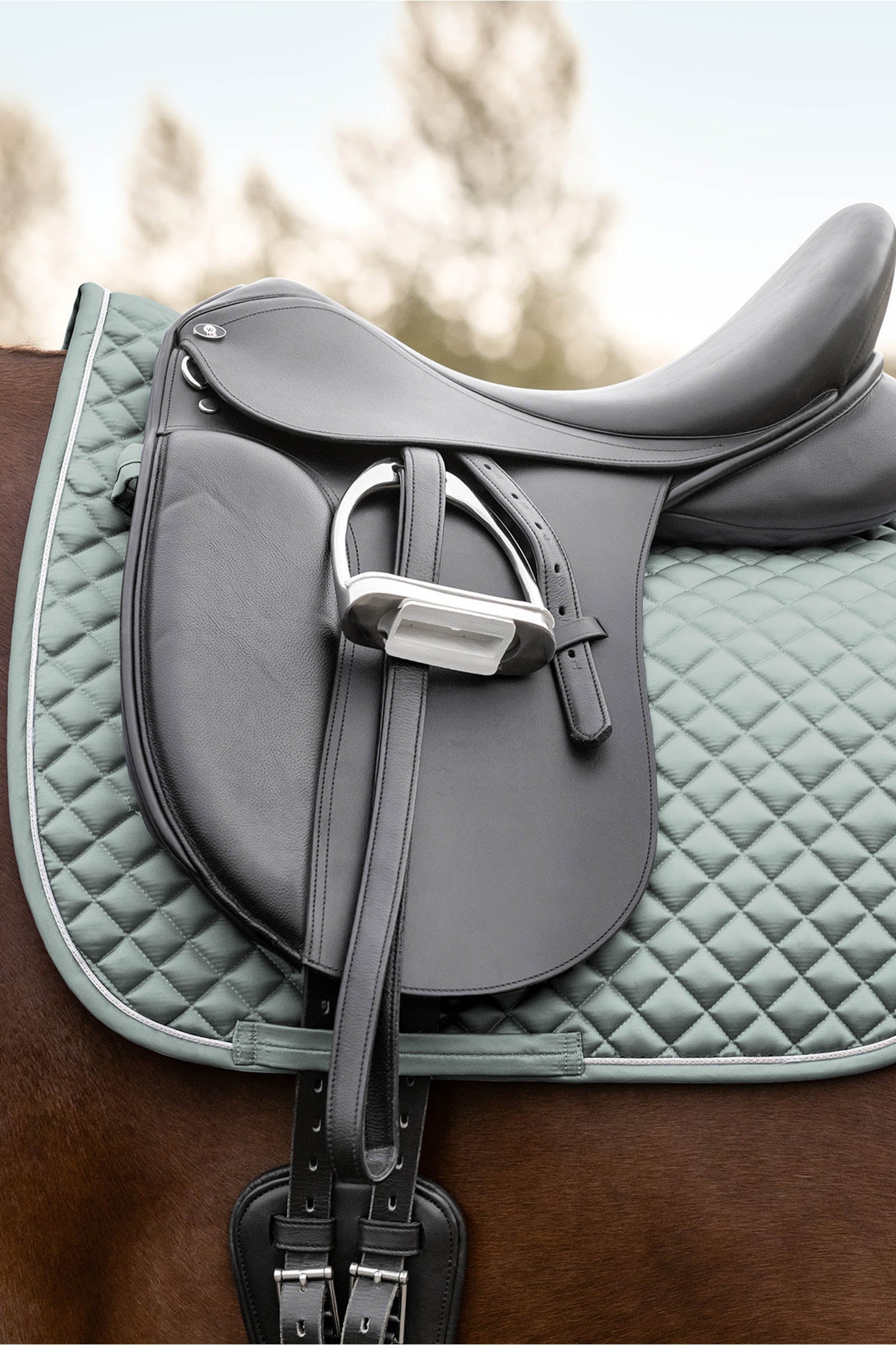 Waldhausen Felix Glam Dressage Saddle Pad Czapraki
