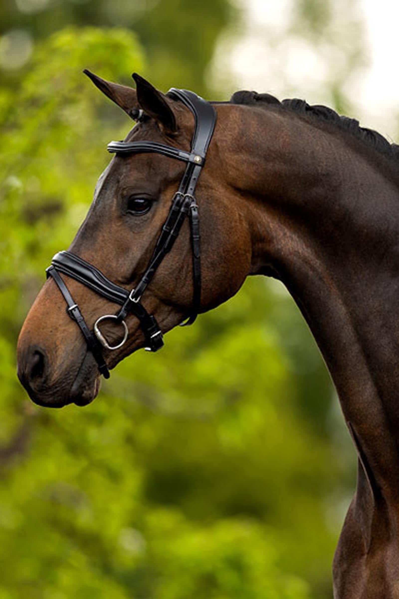 BR Luton Bridle Bridles & Reins