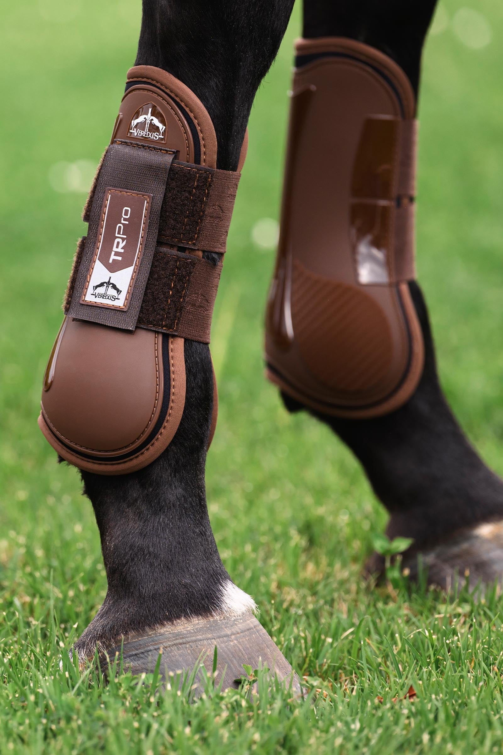 Veredus TR PRO Front Tendon Boots Leg & Hoof Protection