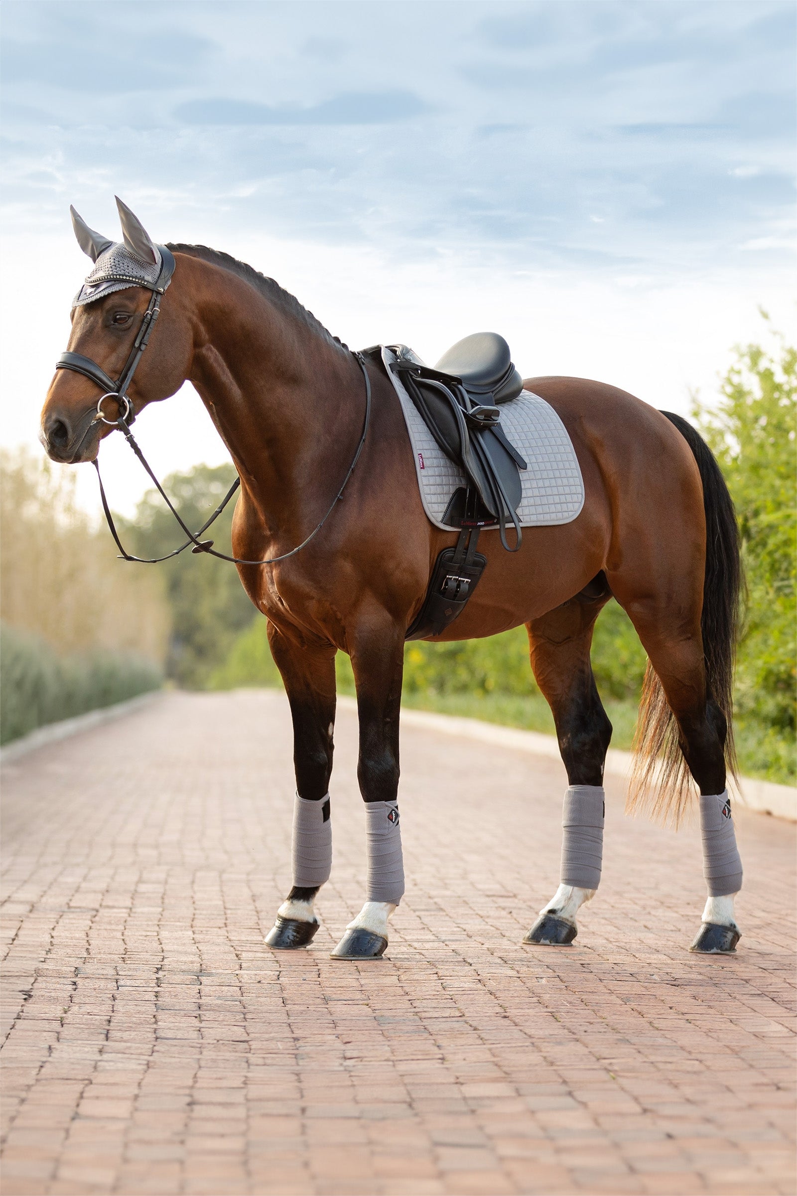 LeMieux Suede czaprak ujeżdżeniowy Czapraki