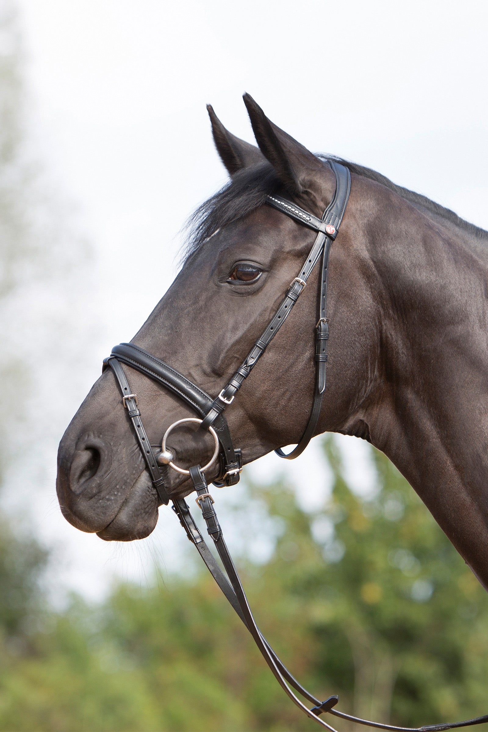 Kieffer Ultrasoft® Bridle Bridles & Reins