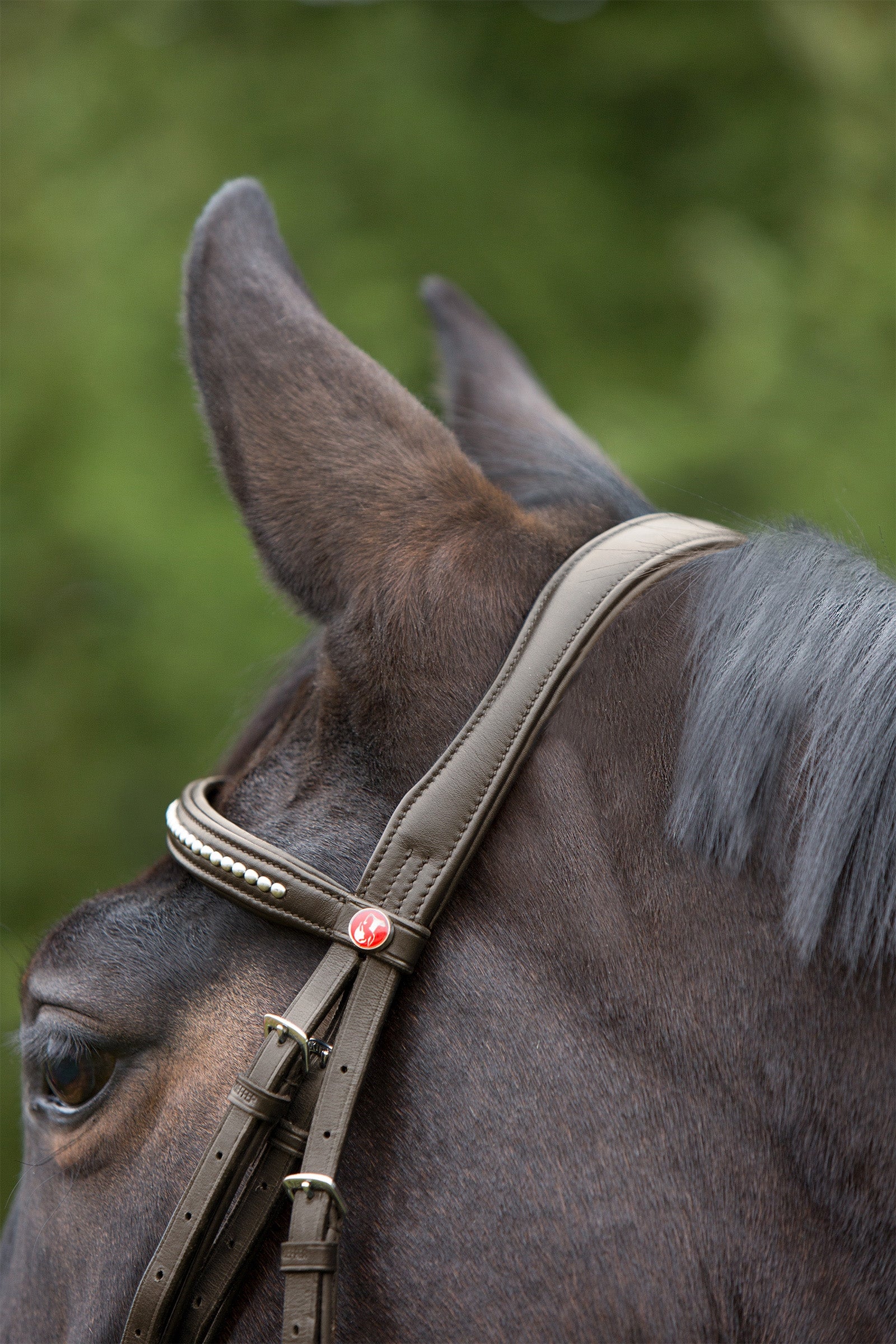 Kieffer Ultrasoft® Bridle Bridles & Reins